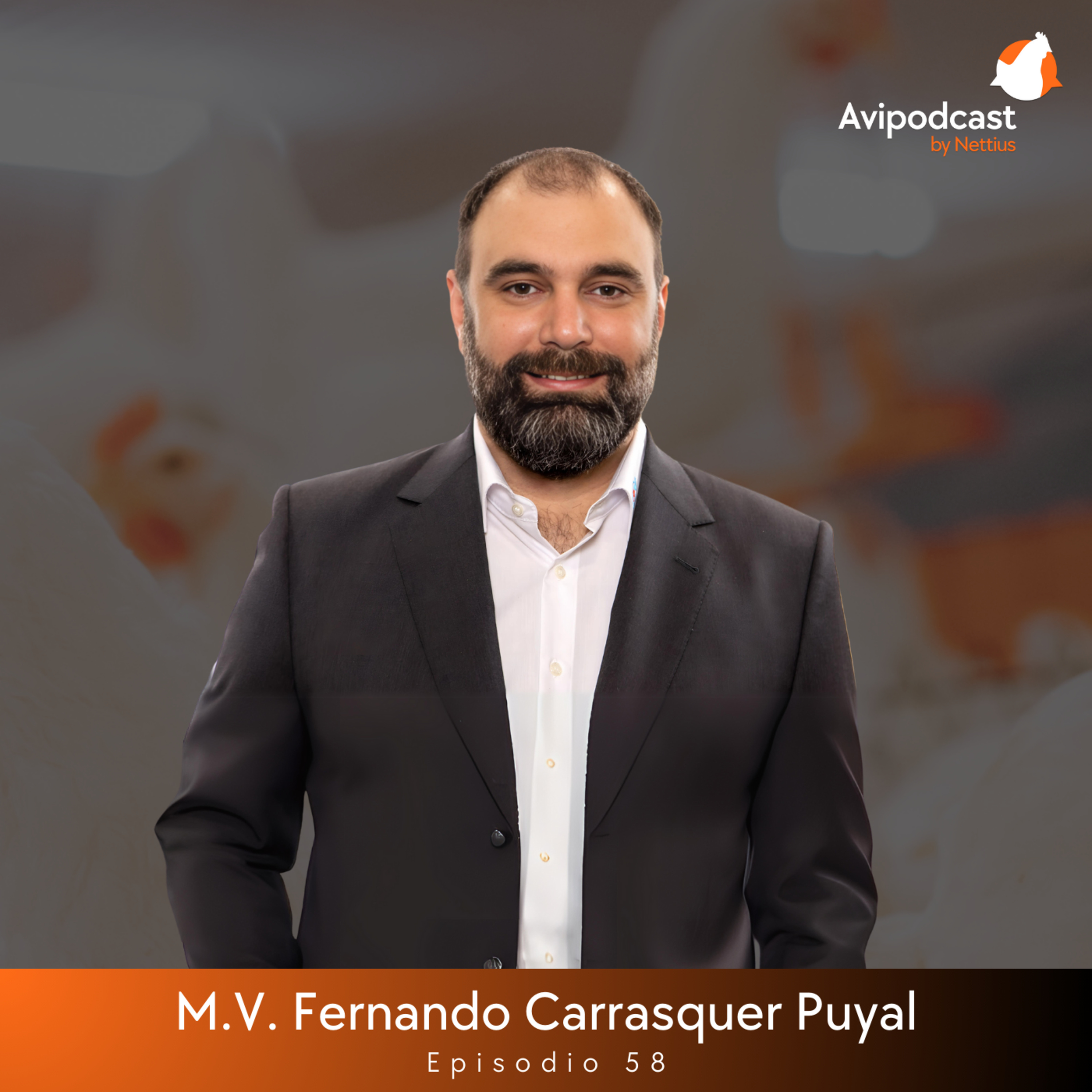 #58 - El poder de la luz: cómo maximizar la producción de huevos y evitar errores costosos - M.V Fernando Carrasquer Puyal