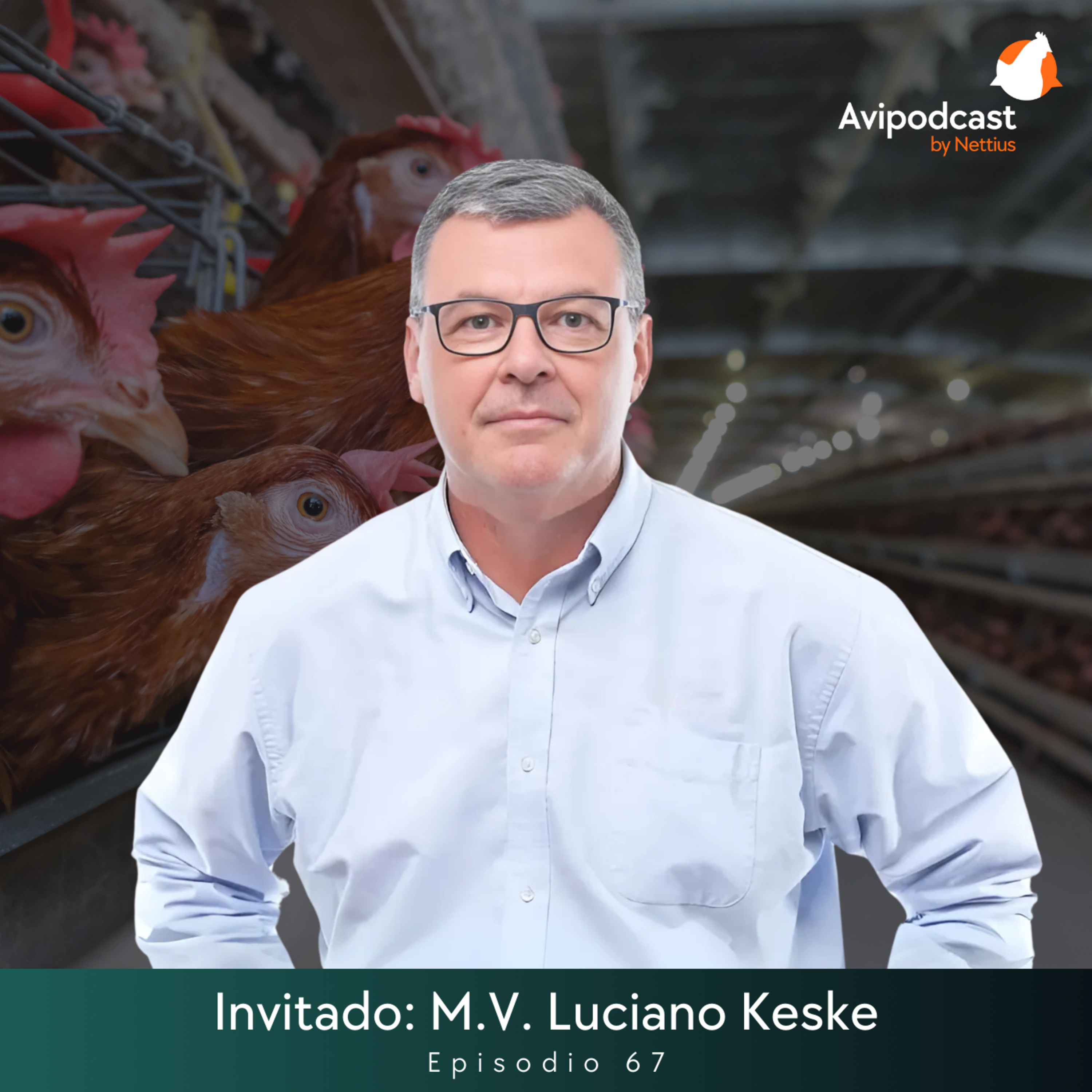 #67 - Estrategias para el manejo del macho - M.V. Luciano Keske