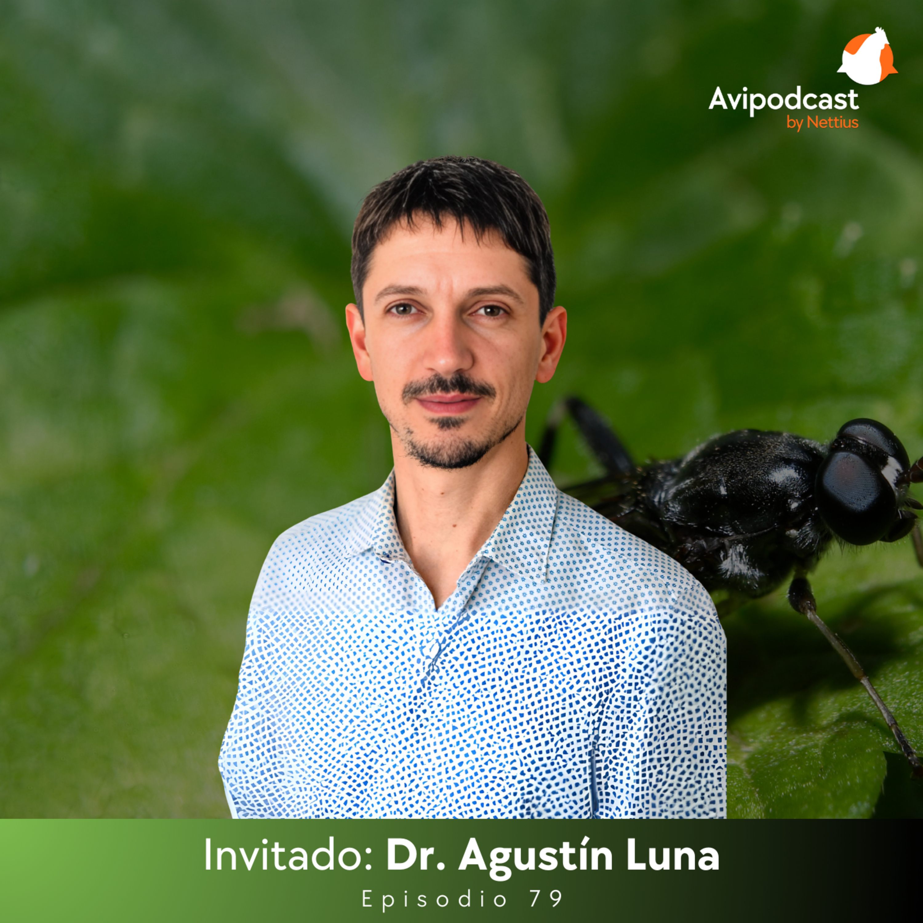 #79 - Insectos en la dieta: Explorando el potencial de la larva soldado negra - Dr. Agustín Luna