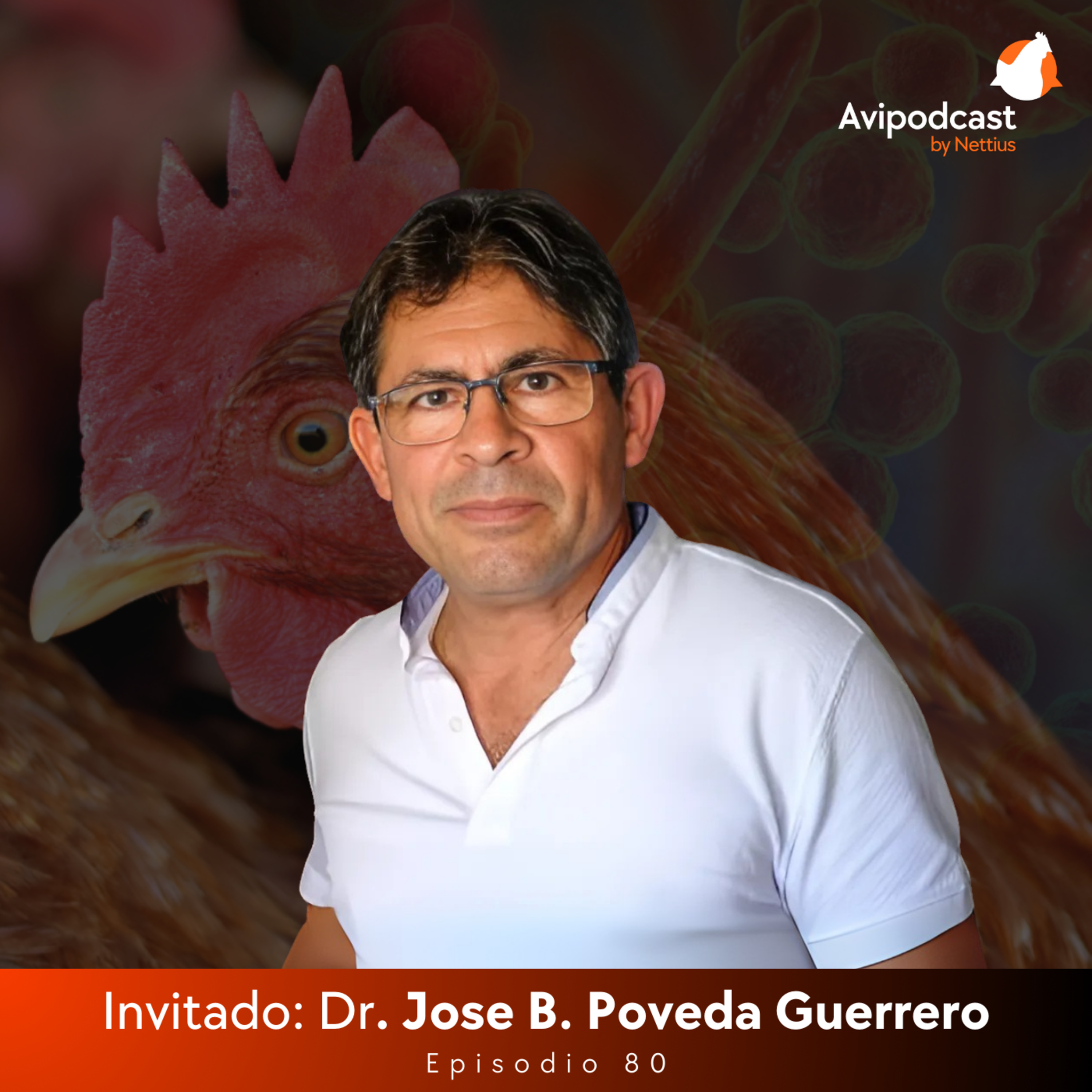 #80 - Micoplasmosis en avicultura: Diagnóstico, control y persistencia de la enfermedad - Dr. Jose B. Poveda Guerrero #80 - Micoplasmosis en avicultura: Diagnóstico, control y persistencia de la enfermedad - Dr. Jose B. Poveda Guerrero