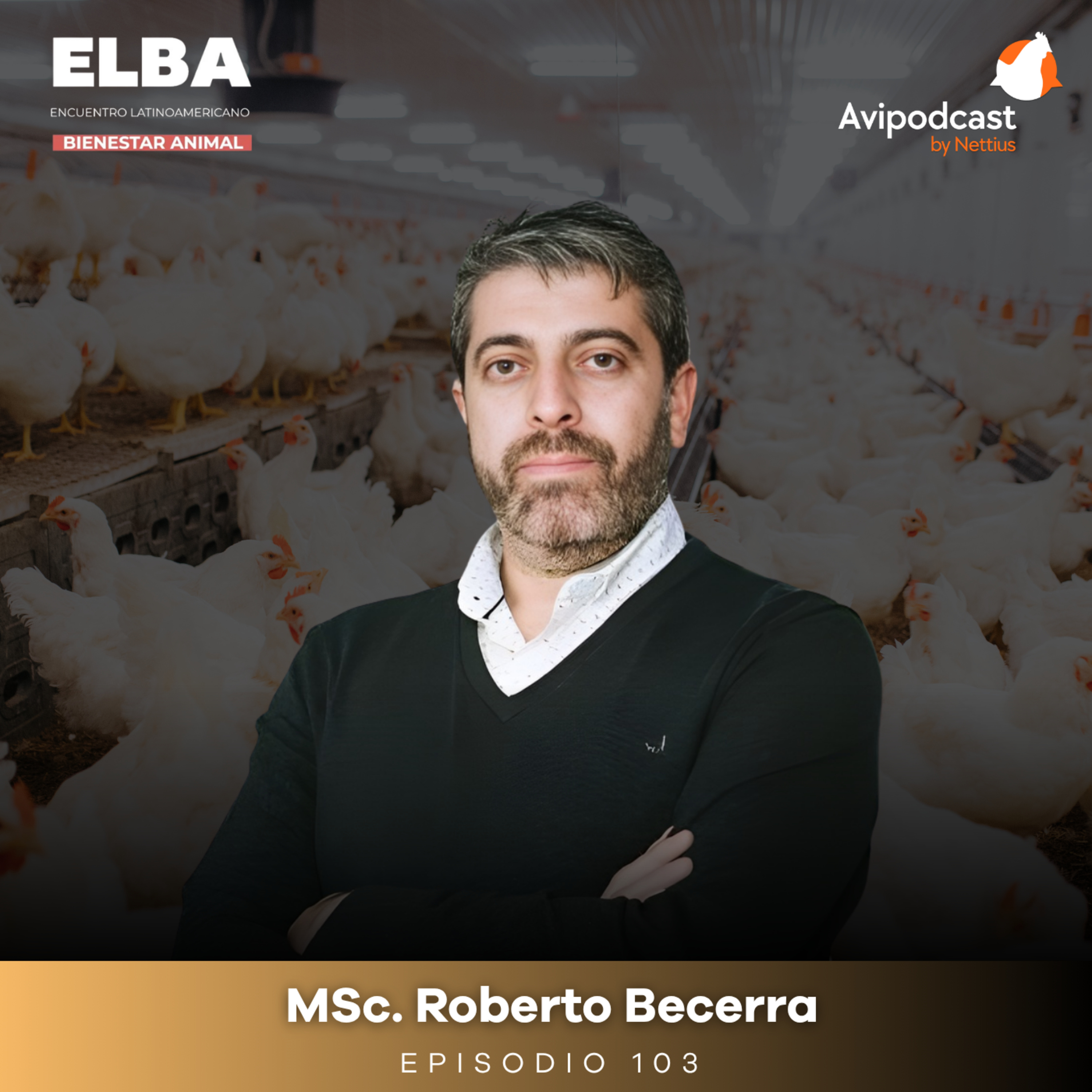 #103 - Bienestar animal en avicultura: Certificar para no quedar fuera - MSc. Roberto Becerra