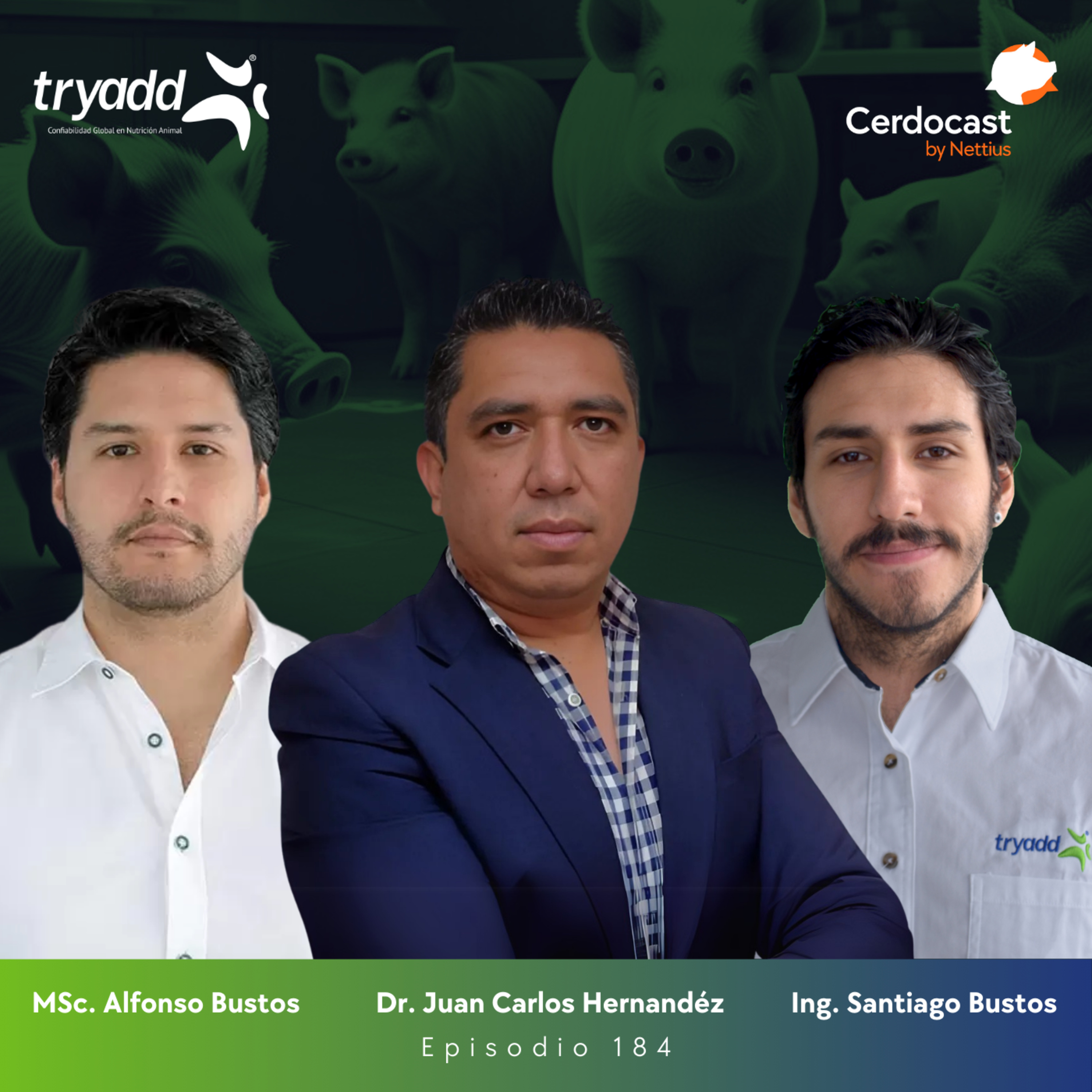 #184 - IA aplicada a la industria porcina - Dr. Juan Hernandéz, MSc. Alfonso Bustos, Ing. Santiago Bustos - Parte 1 episode artwork