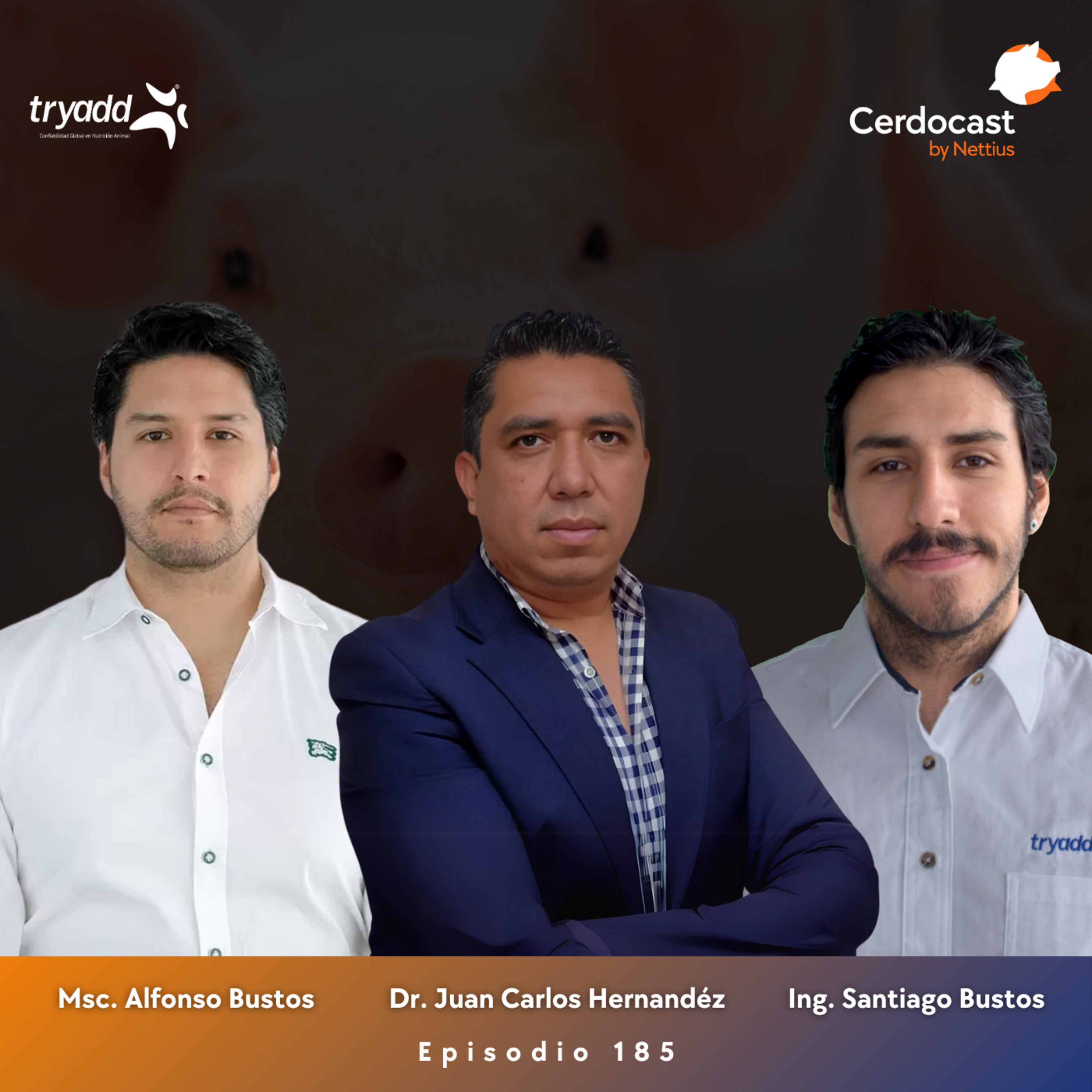 #185 - IA aplicada a la industria porcina - Dr. Juan Hernandéz, Msc. Alfonso Bustos, Ing. Santiago Bustos - Parte 2 episode artwork