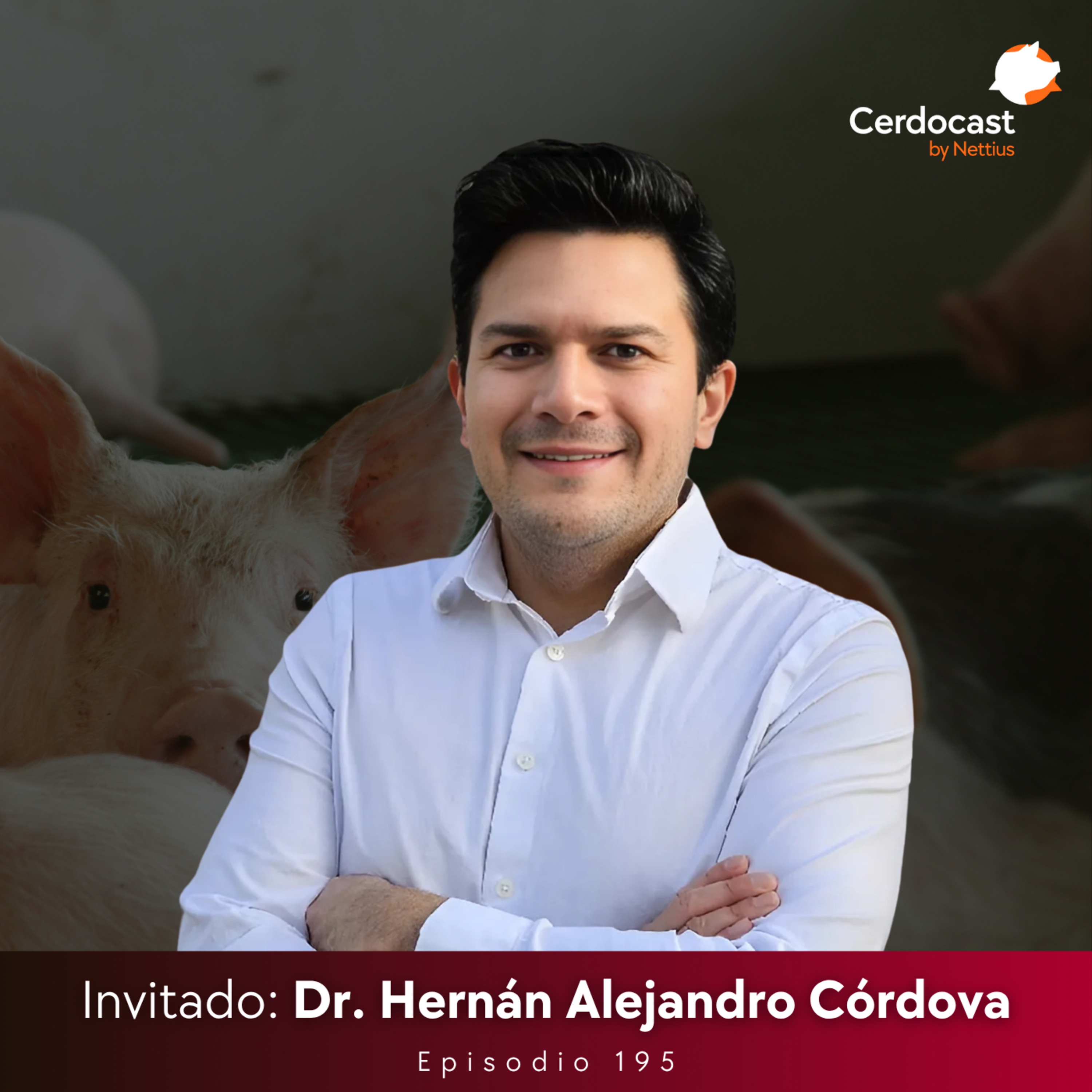 #195 - Reglas de oro en formulación: Optimizando el uso de energía - Dr. Hernán Alejandro Córdova - Parte 1 episode artwork