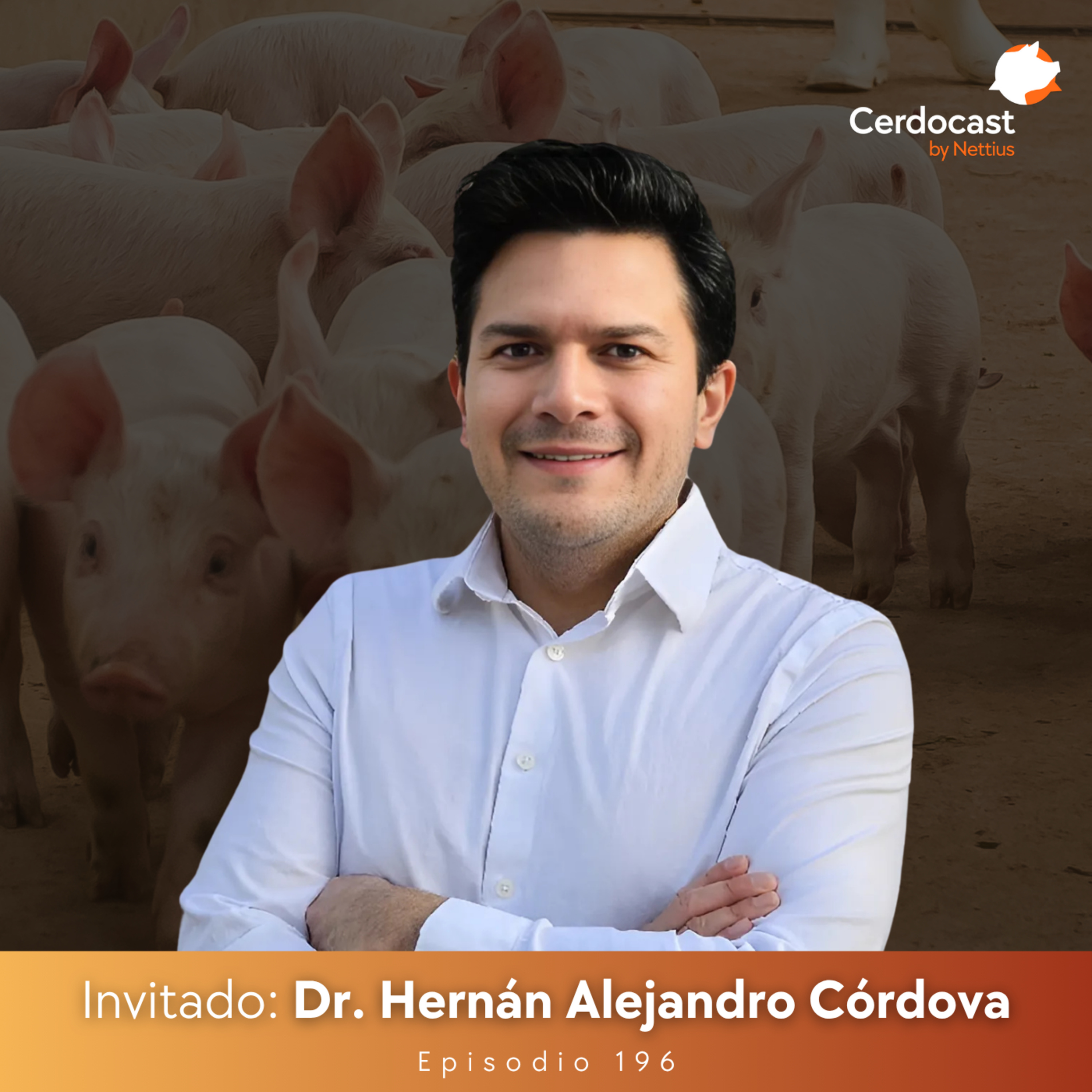 #196 - Reglas de oro en formulación: Optimizando el uso de energía - Parte 2 - Dr. Alejandro Córdova episode artwork