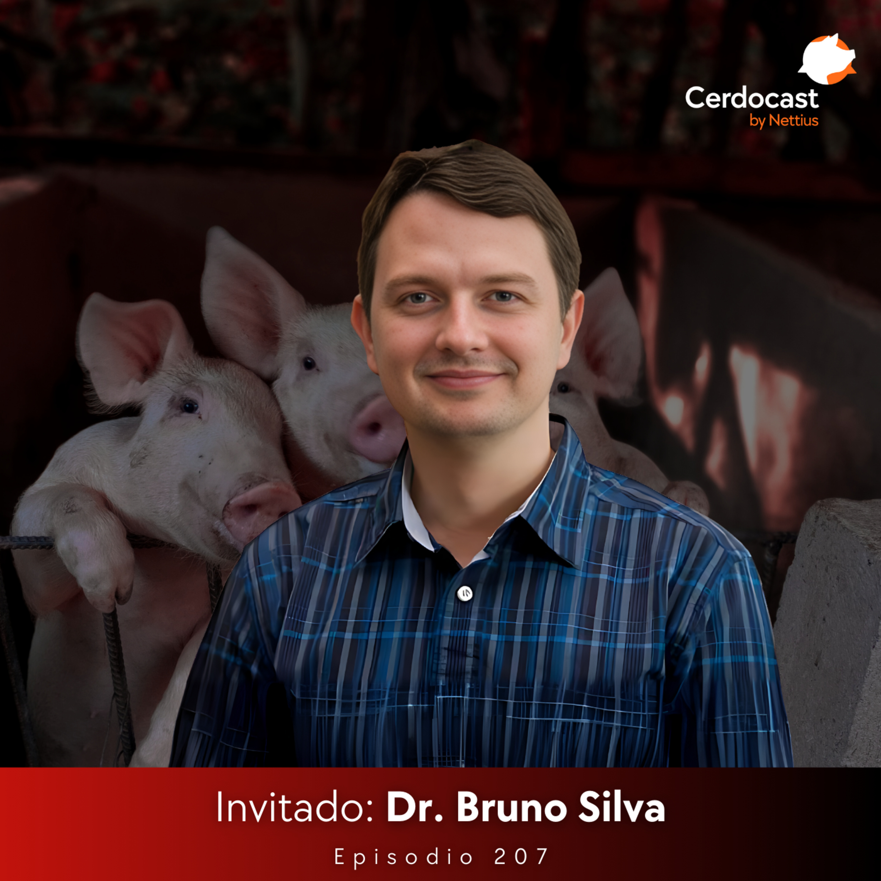 #207 - Nutrición de precisión para reducir pérdidas por calor en cerdas - Dr. Bruno Silva episode artwork