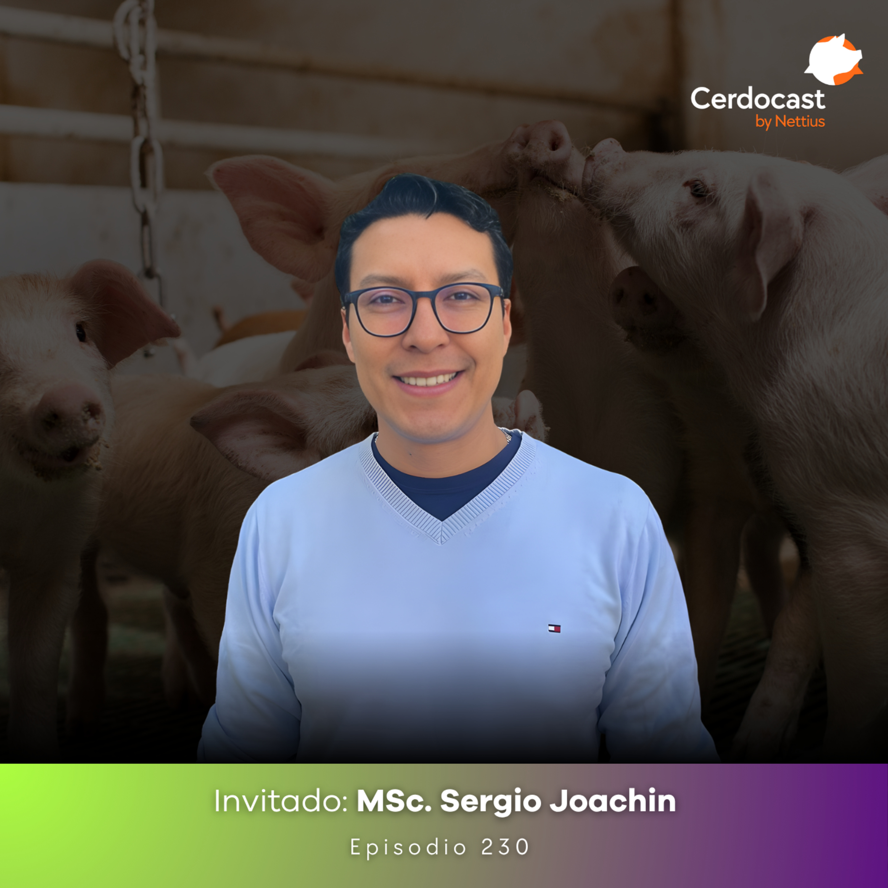 #230 - ¿Por qué tus datos no generan decisiones? La trampa del análisis infinito - MSc. Sergio Joachin episode artwork