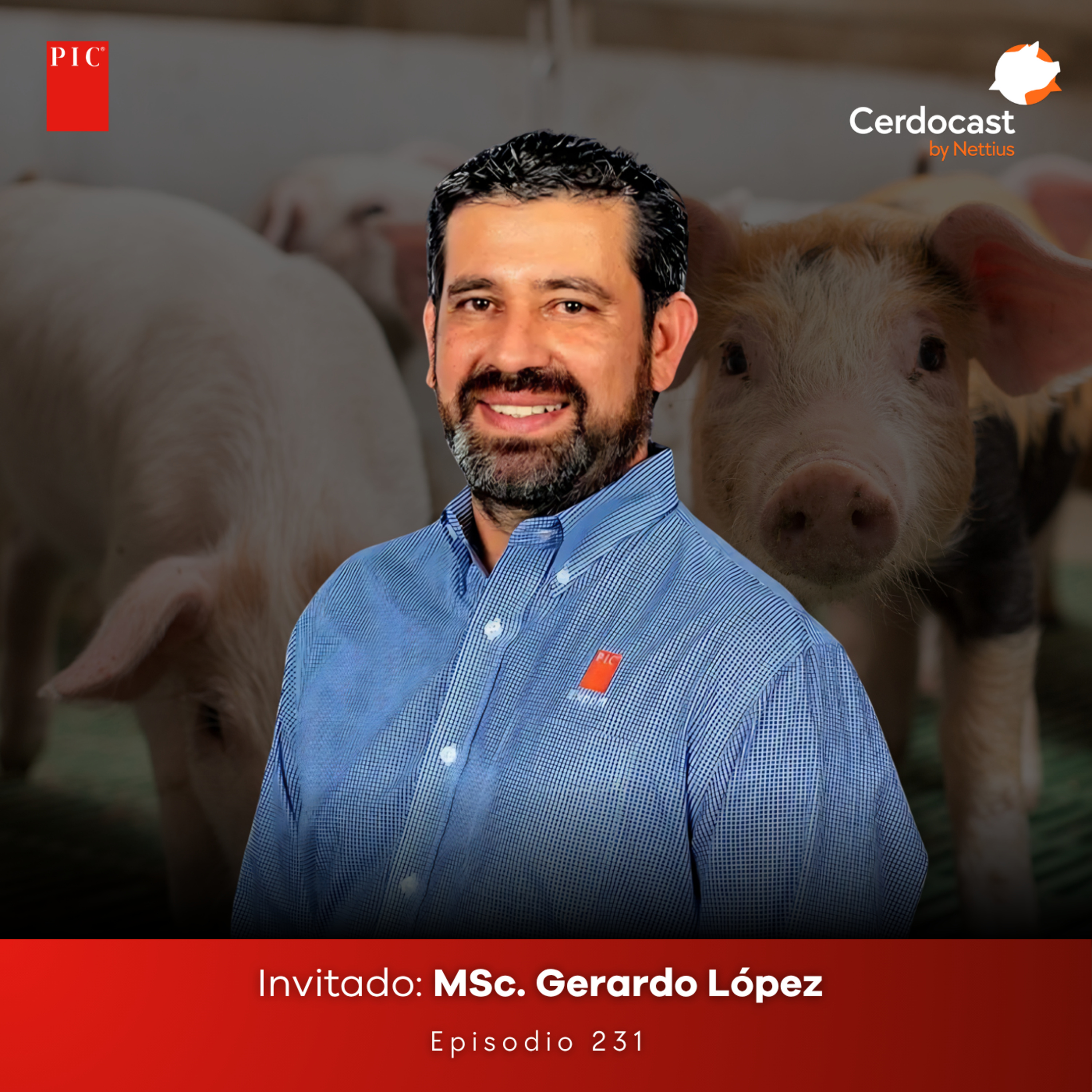 #231 - La rentabilidad ya no viene del mercado, viene de la ejecución - MSc. Gerardo López episode artwork