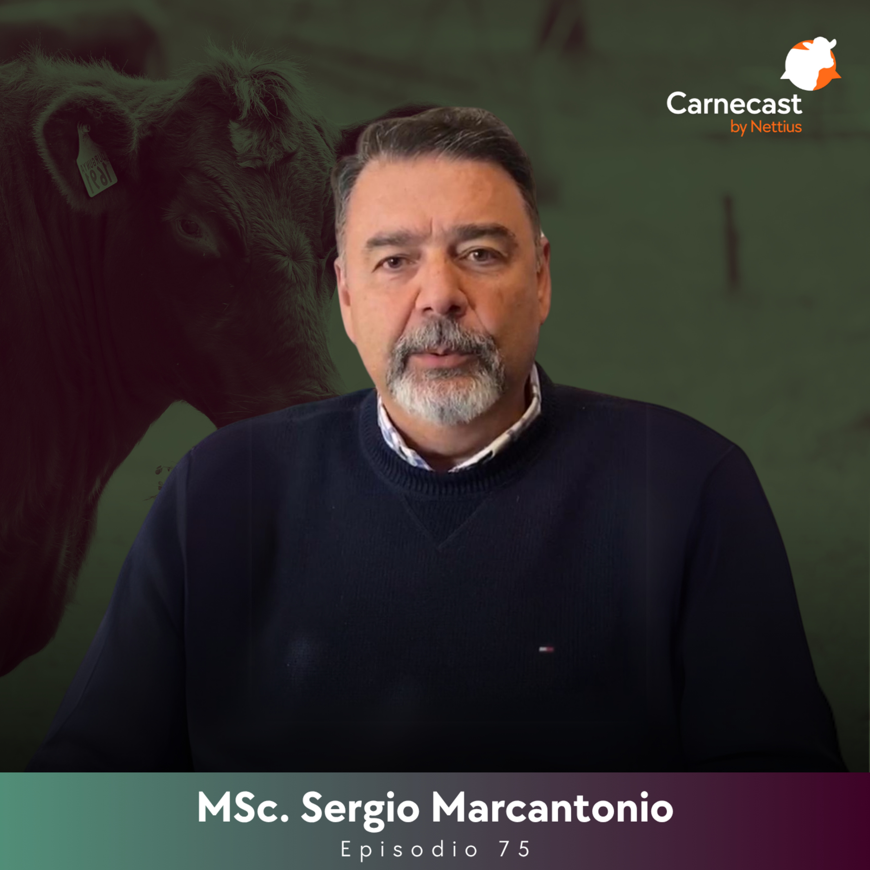 #75 - IATF en cría: La biotecnología que multiplicó la preñez por 4 - M.Sc. Sergio Marcantonio
