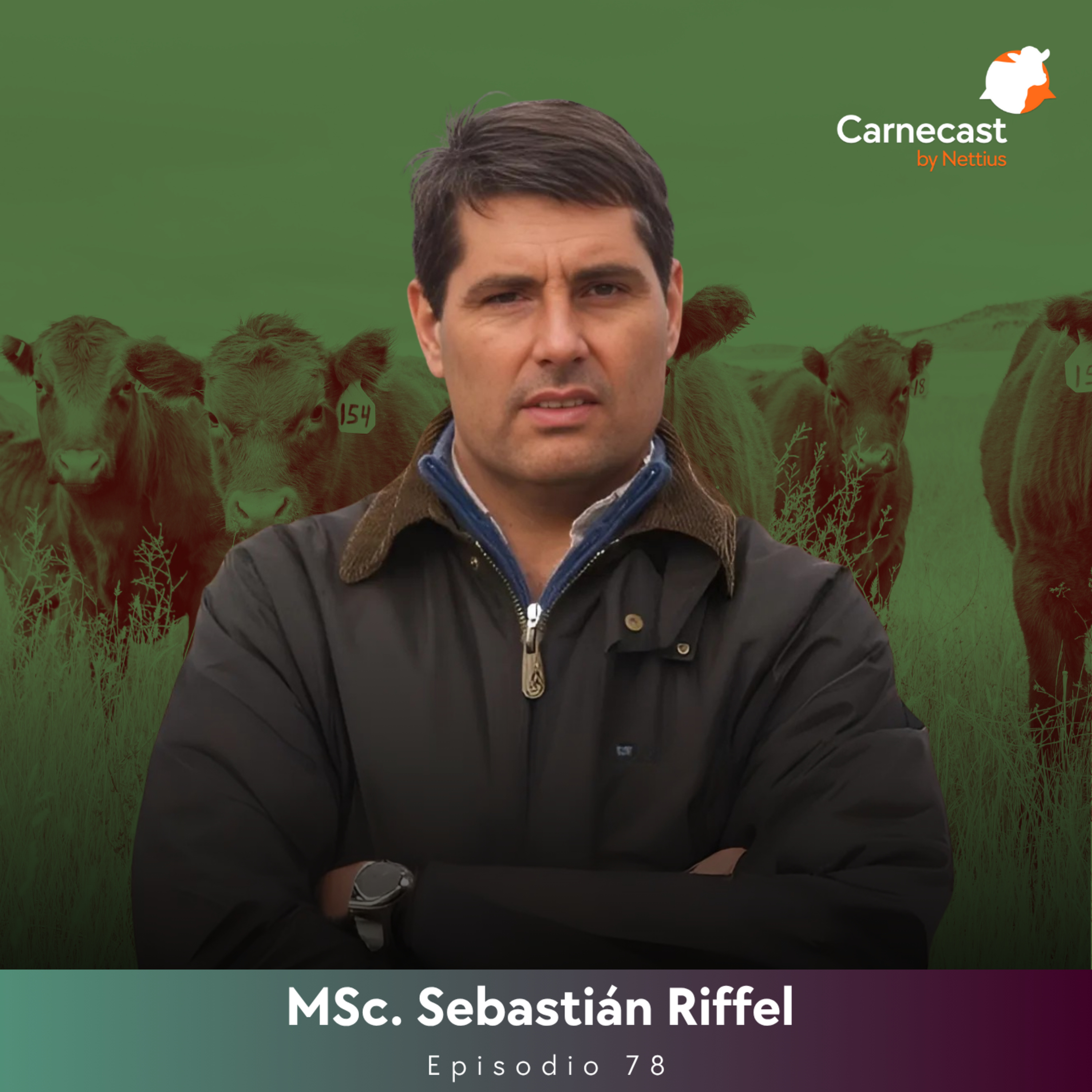 #78 - Diagnóstico de la ganadería argentina: ¿Qué dicen los indicadores actuales? - MSc. Sebastián Riffel