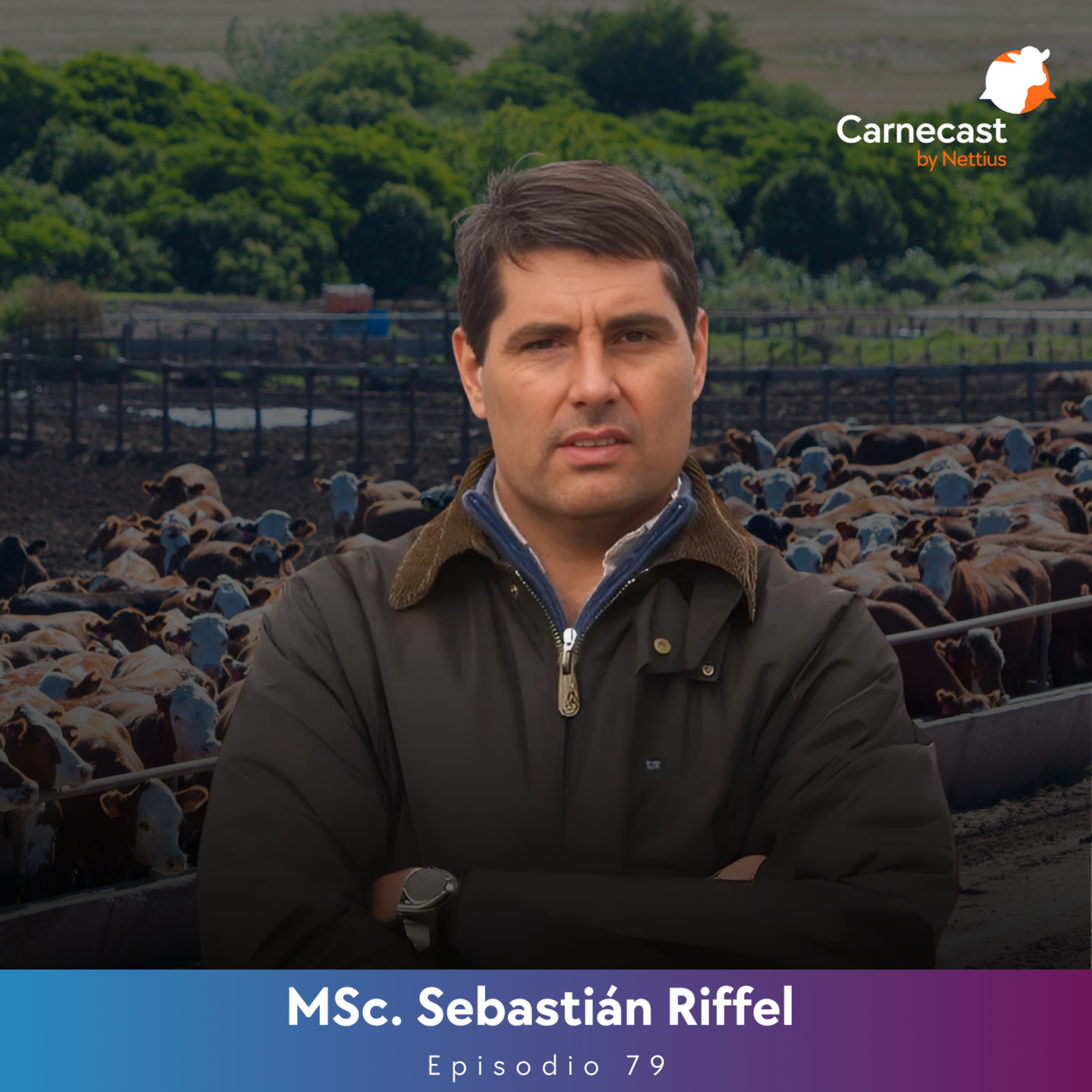 #79 - Recría bovina: Eslabón clave identificado en el diagnóstico productivo - MSc. Sebastián Riffel