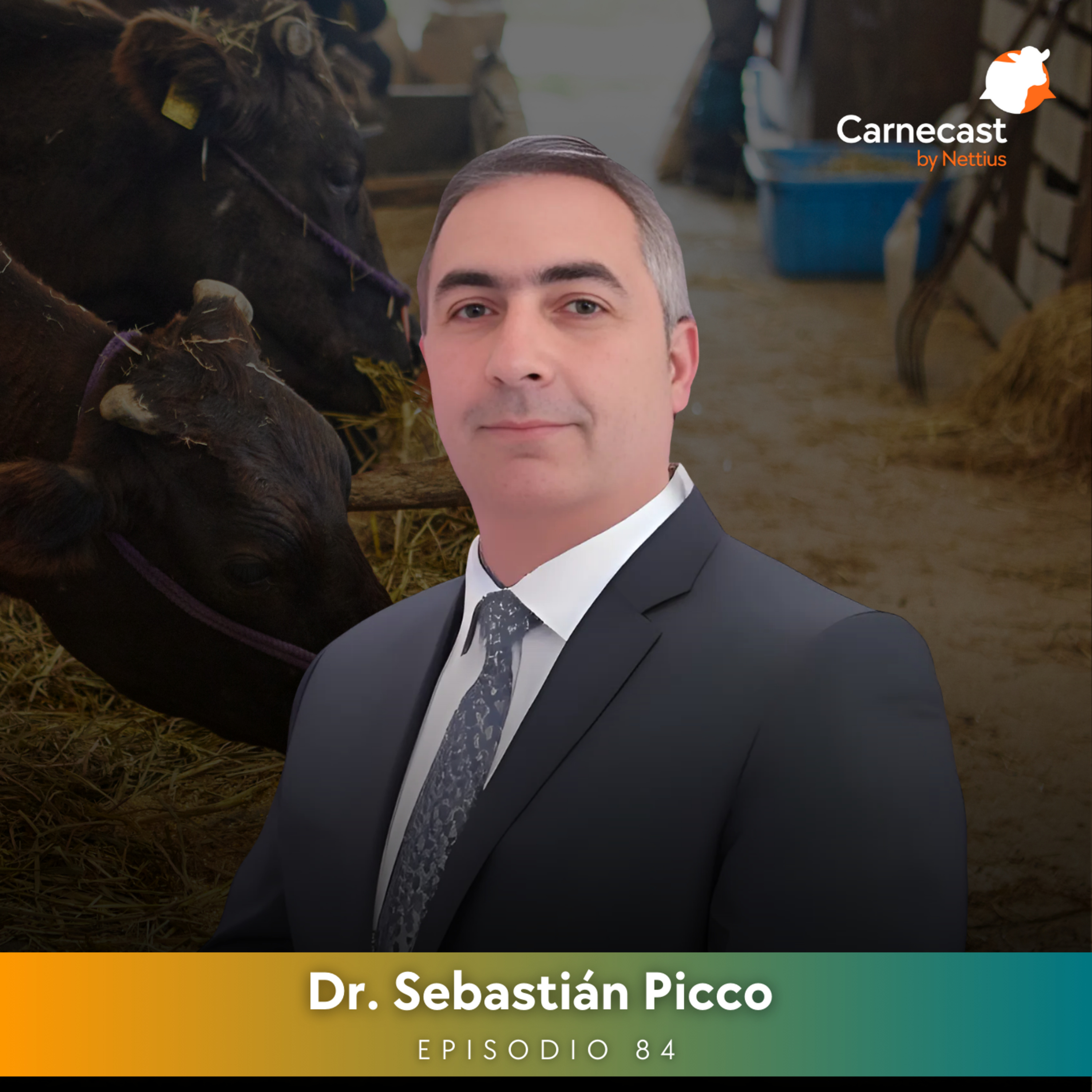 #84 - Dieta sin fibra ni adaptación ruminal en feedlot: ¿Viabilidad productiva? - Dr. Sebastián Picco