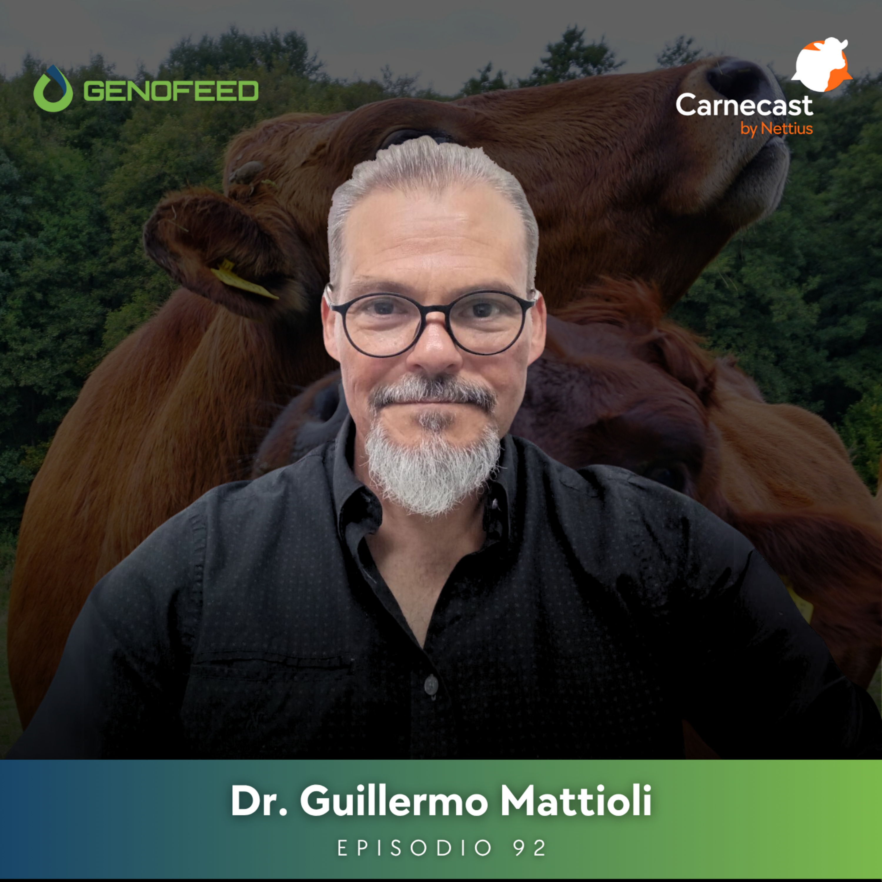 #92 - Suplementación mineral en bovinos: Diagnóstico y prevención de deficiencias críticas - Dr. Guillermo Mattioli