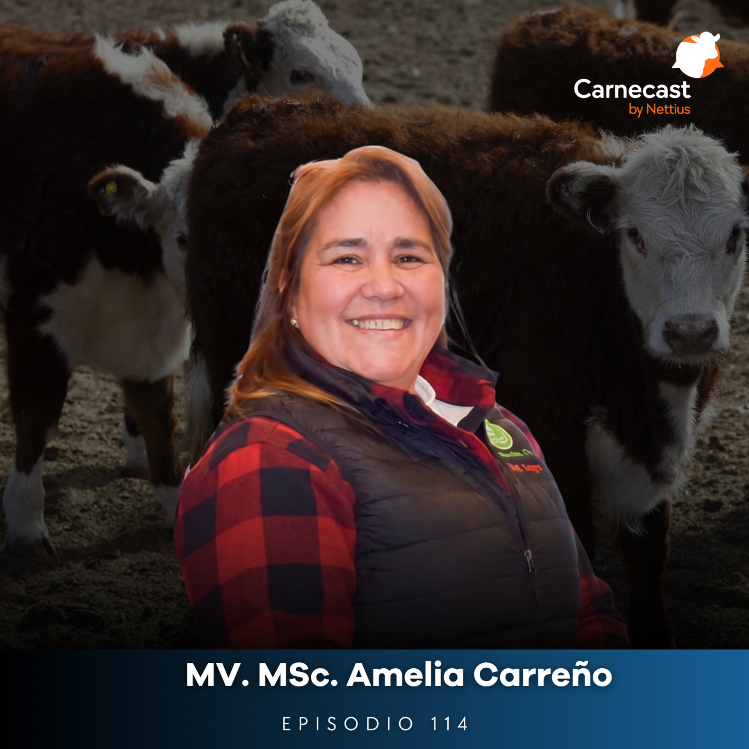 #114 - Transferencia de embriones: Planificar para no perder plata - MV. MSc. Amelia Carreño