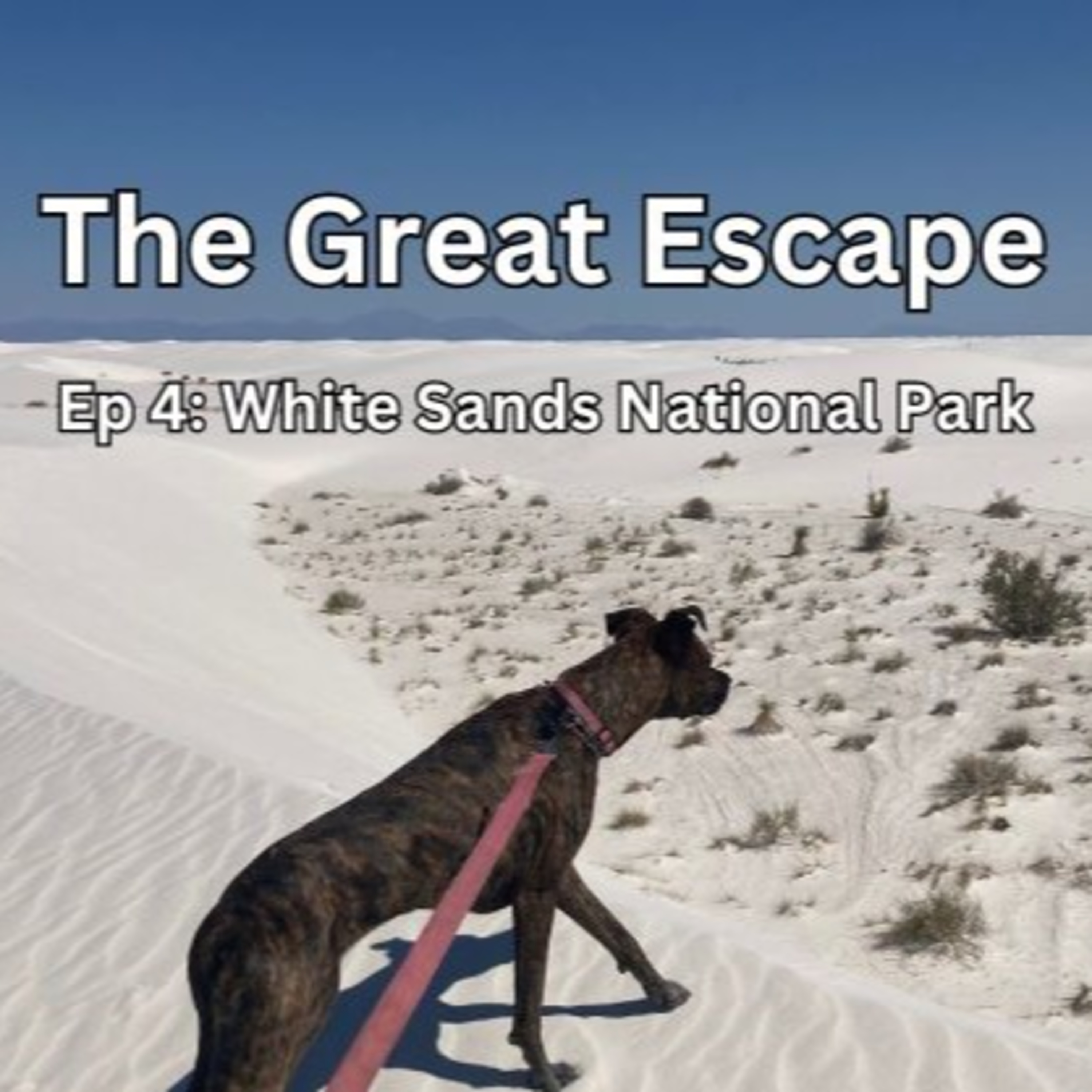 Ep 4: White Sands National Park & Oliver Lee Memorial State Park