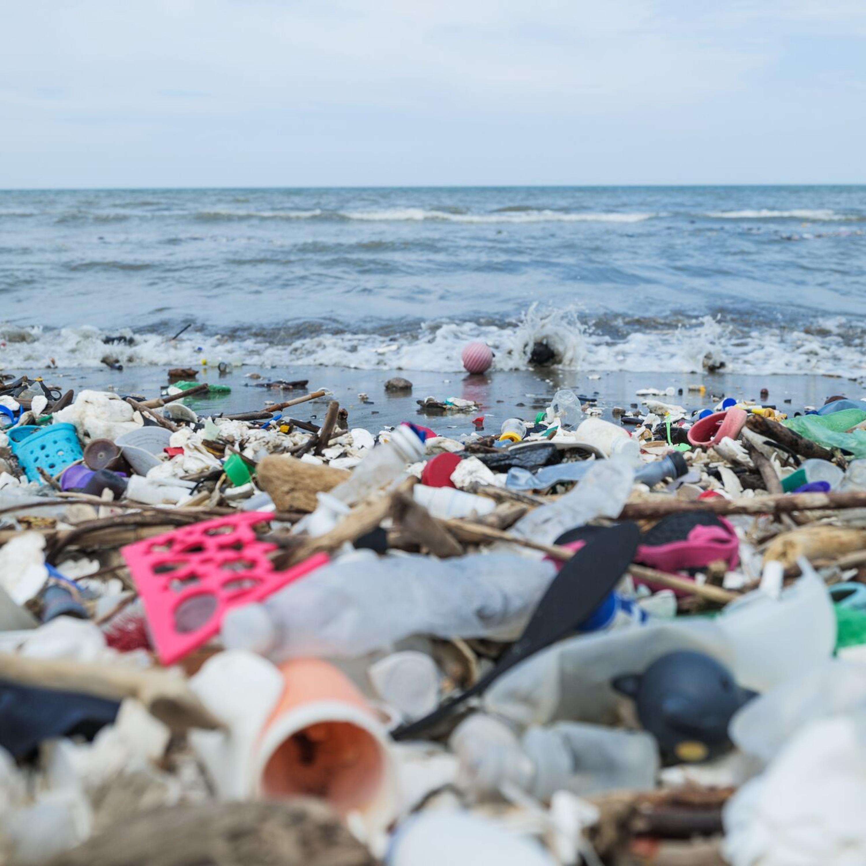 Ocean Pollution | Amanda Di Perna episode artwork