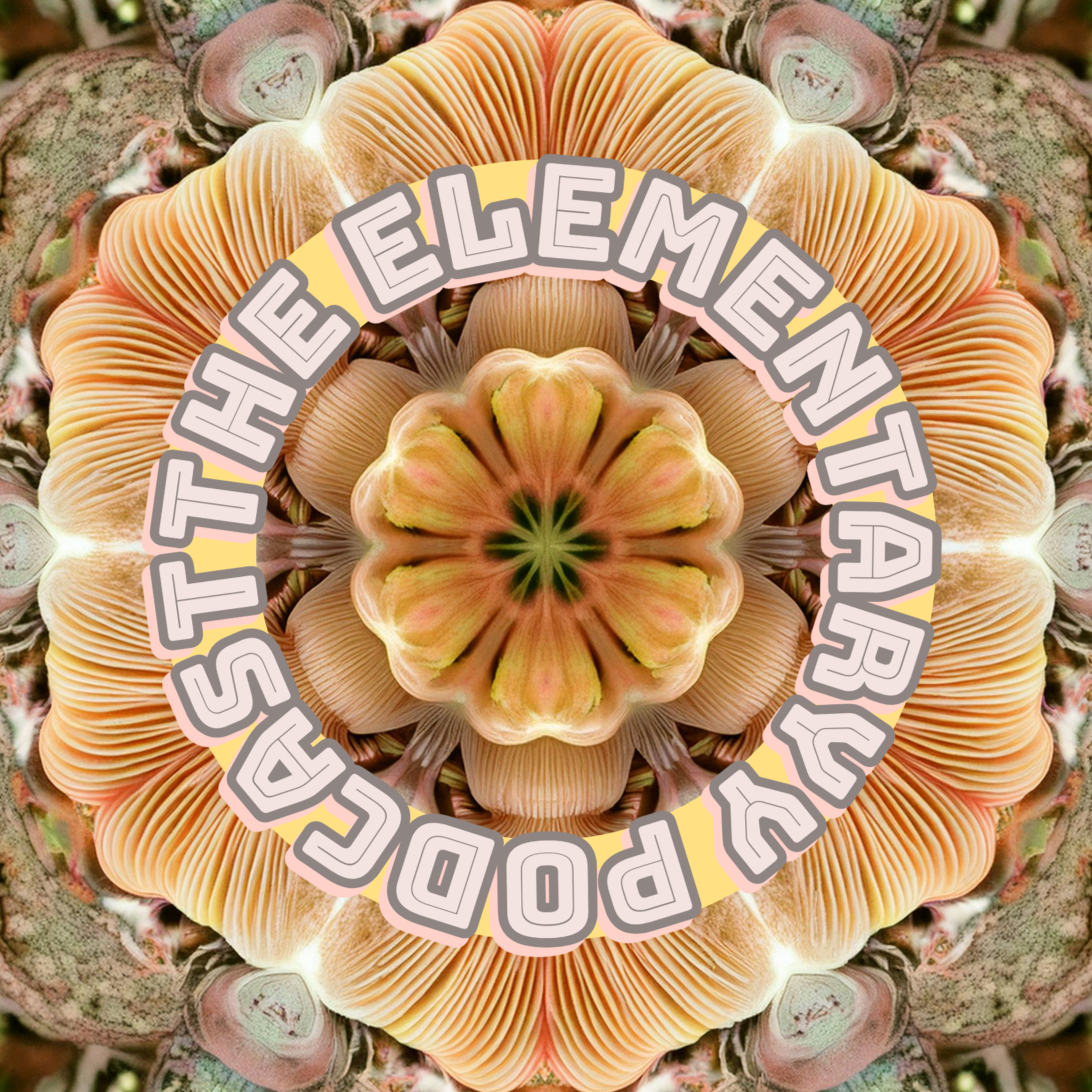 The Elementary Podcast