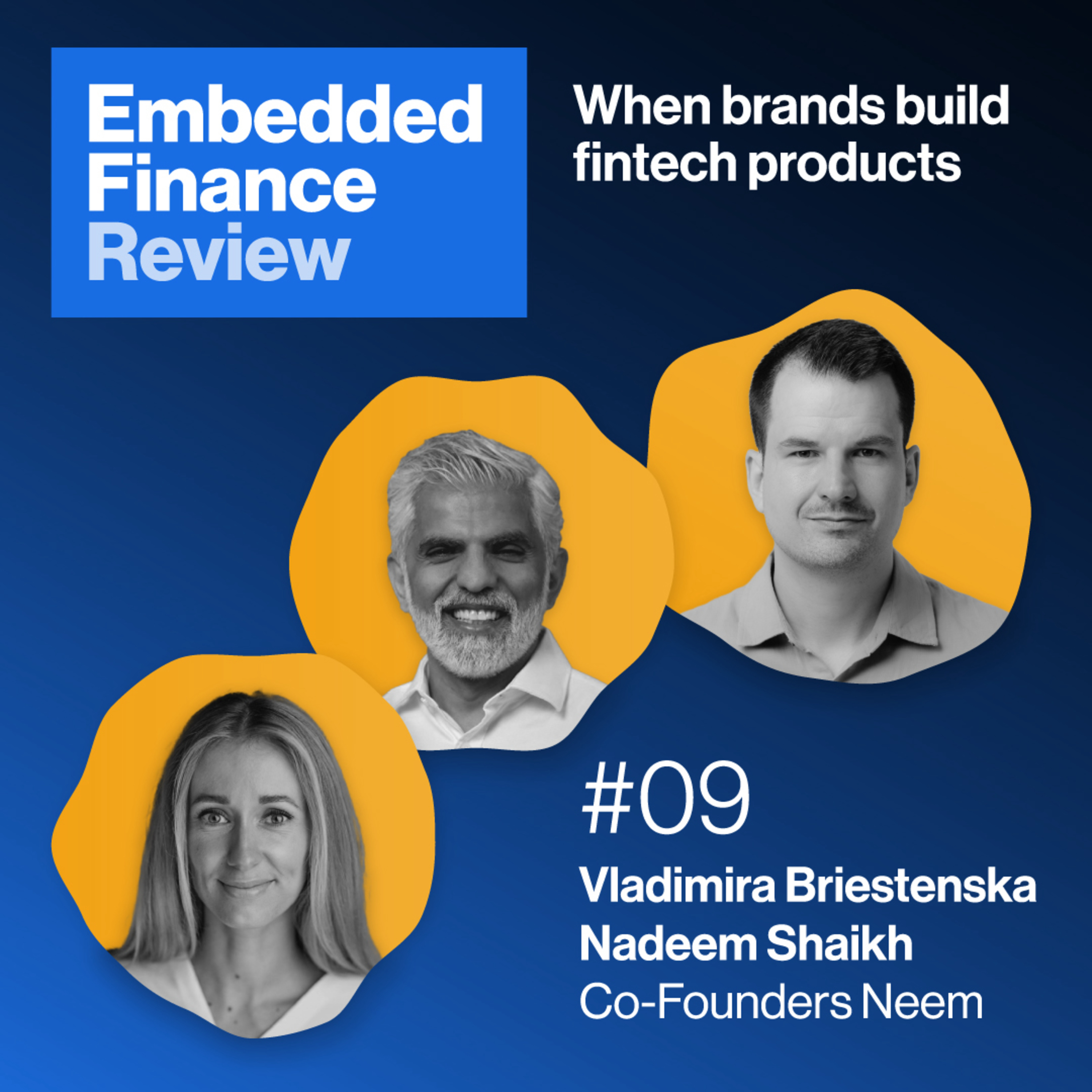 Embedded Finance Review