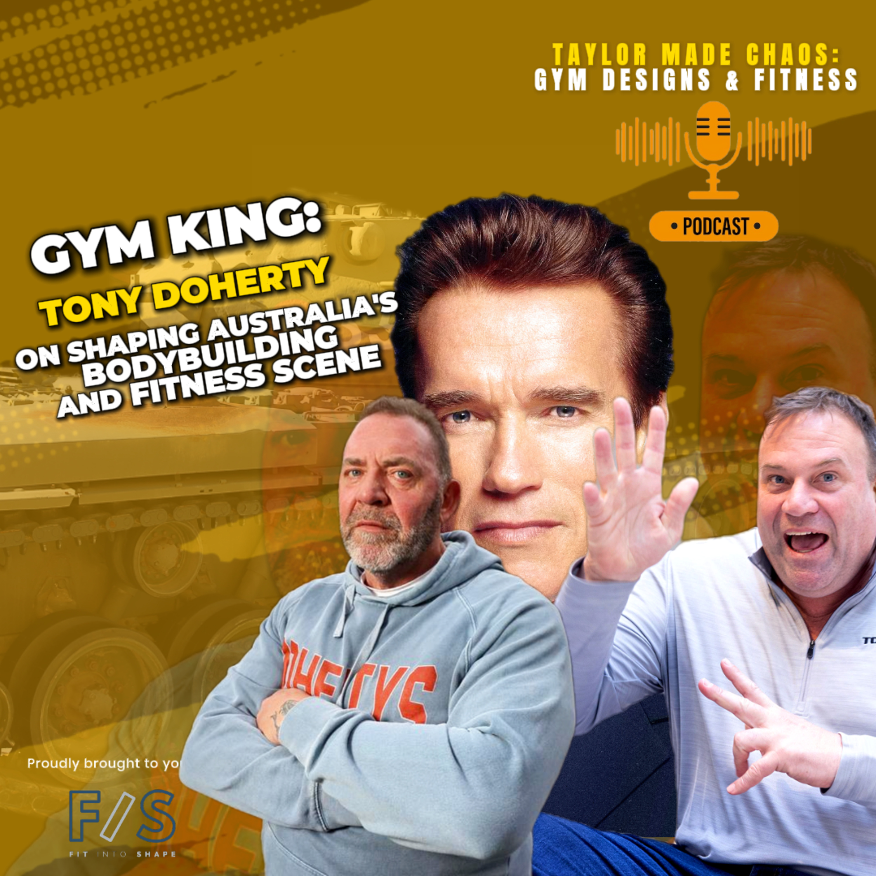 Taylor Made Chaos - Gym Design Made Easy