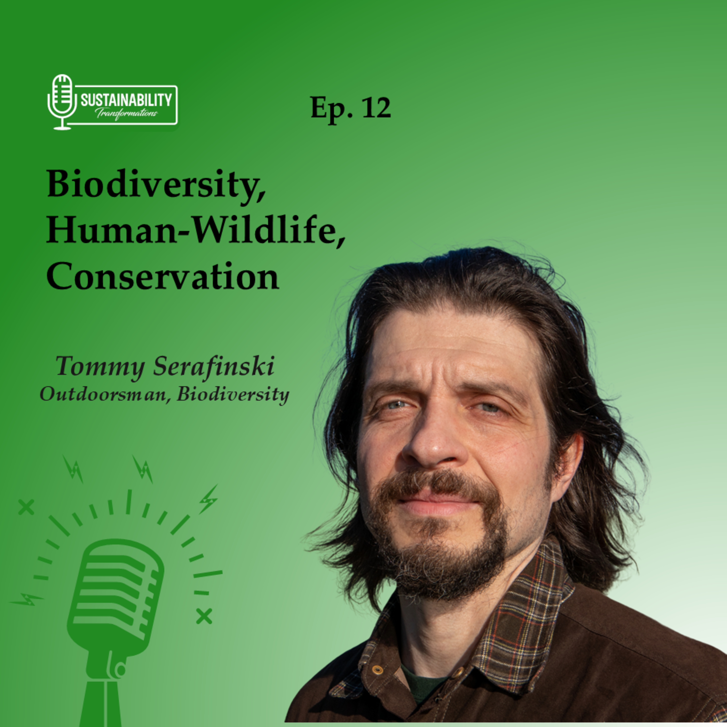 Sustainability Transformations