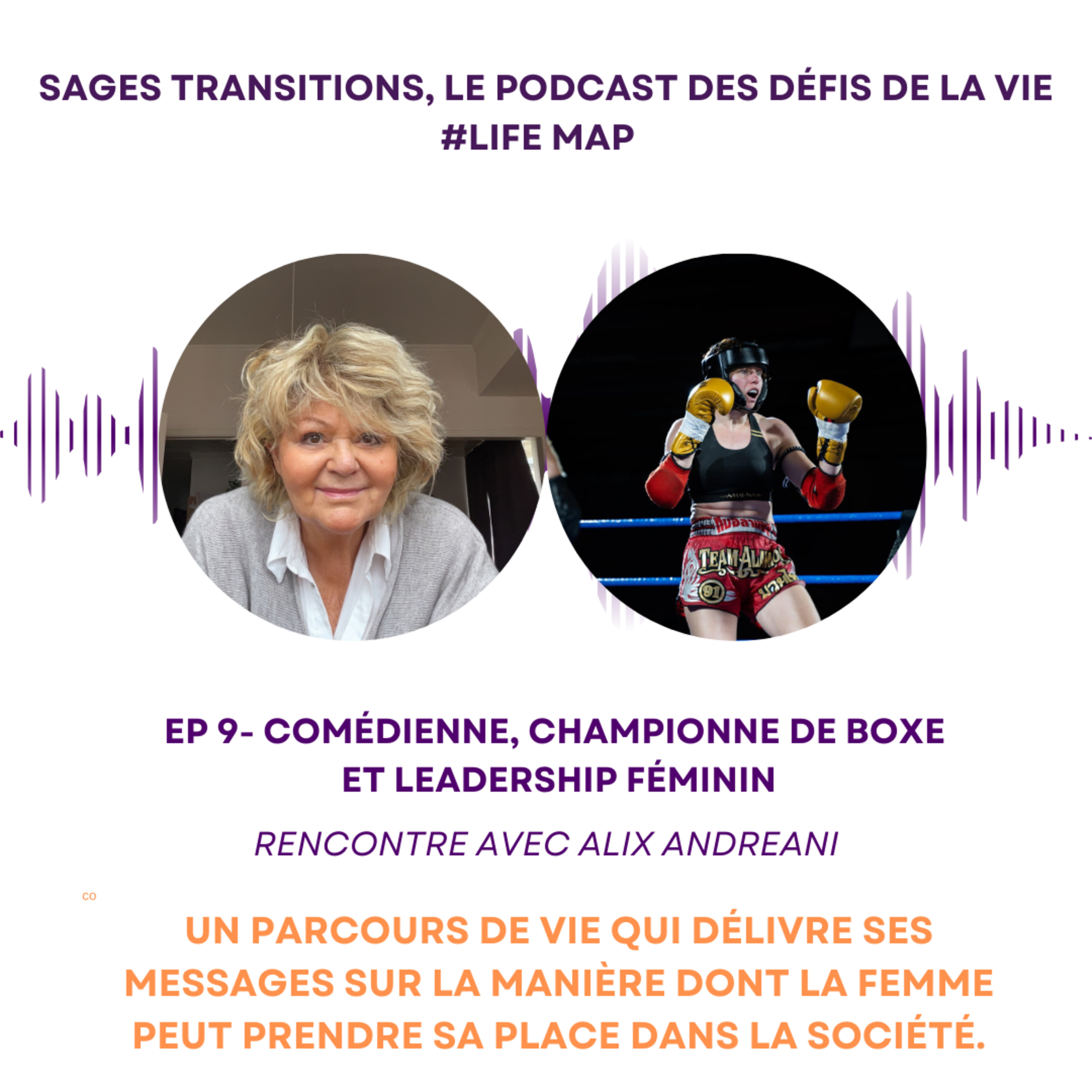 Transitions, les sages et les moins sages