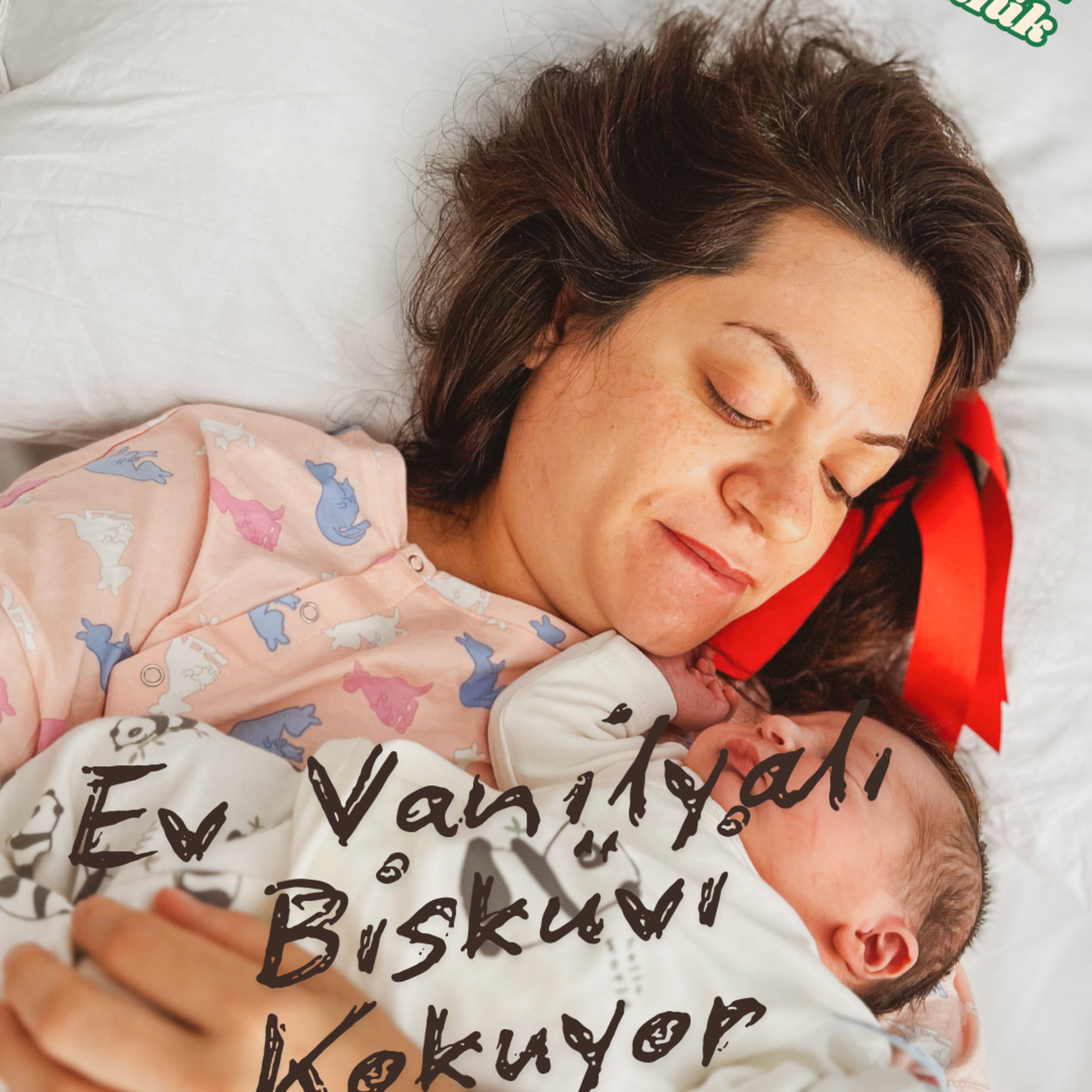 Dijital Günlük
