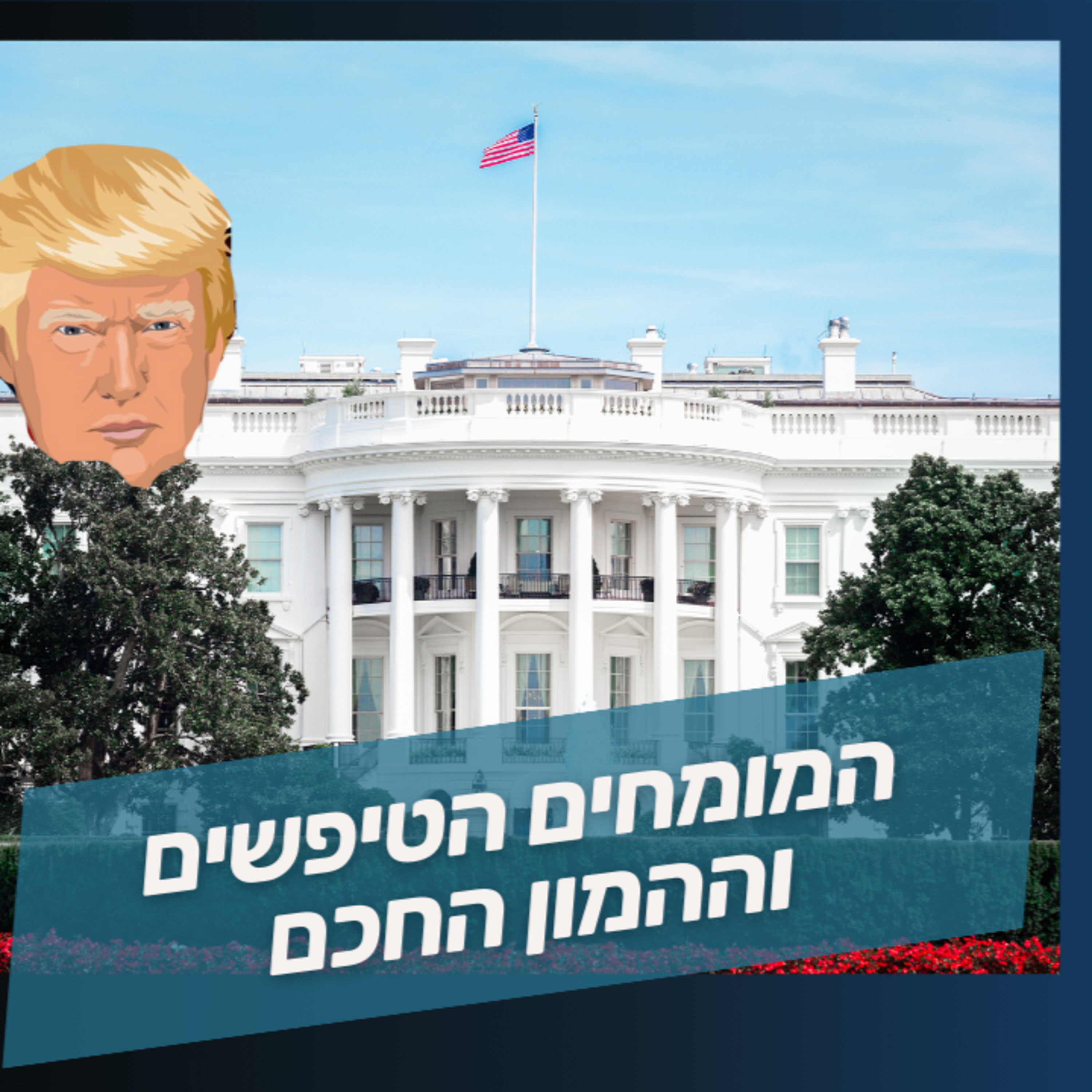 פעולה מכוּוֶנת - מתי וכסלר