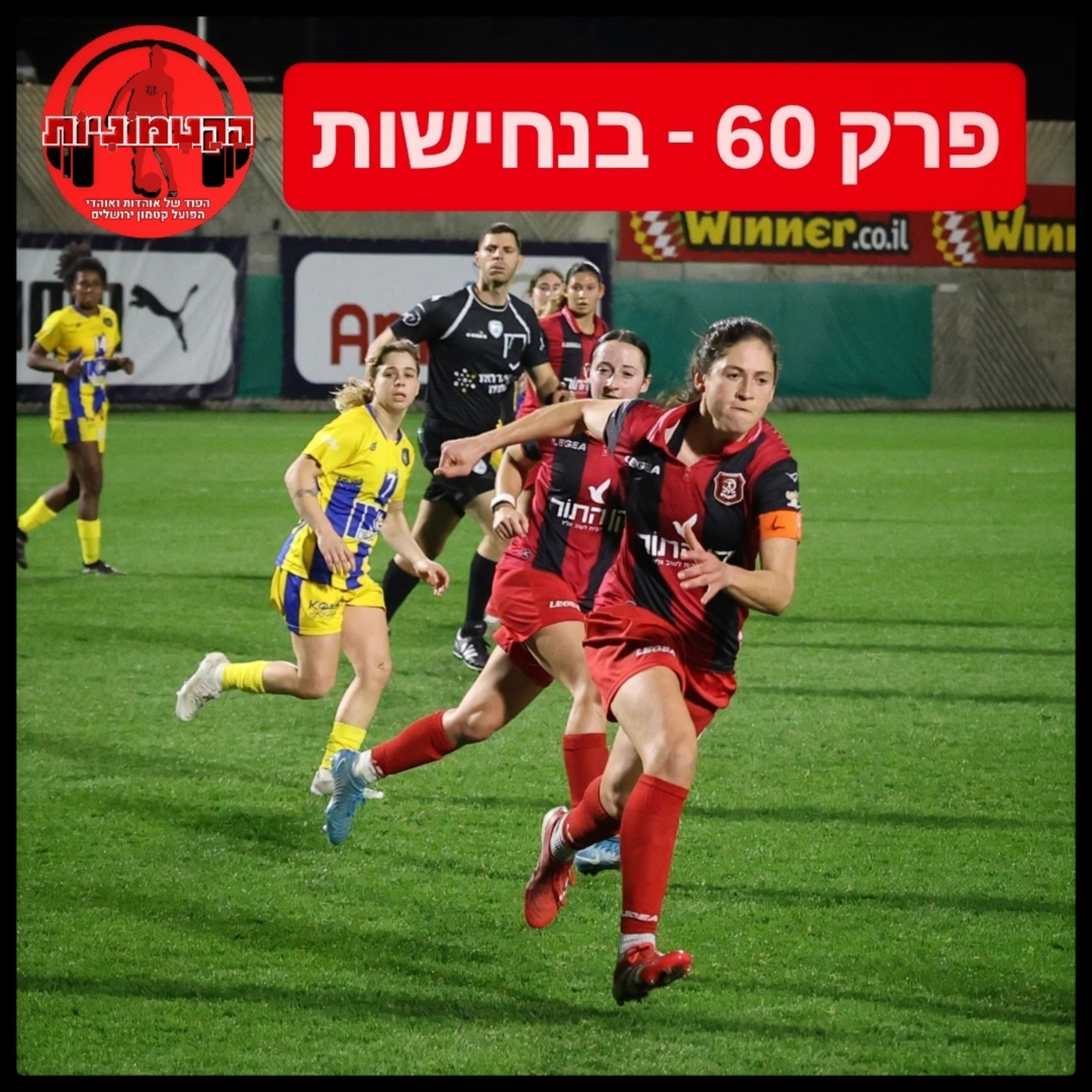 הקטמוניות #60 - בנחישות episode artwork