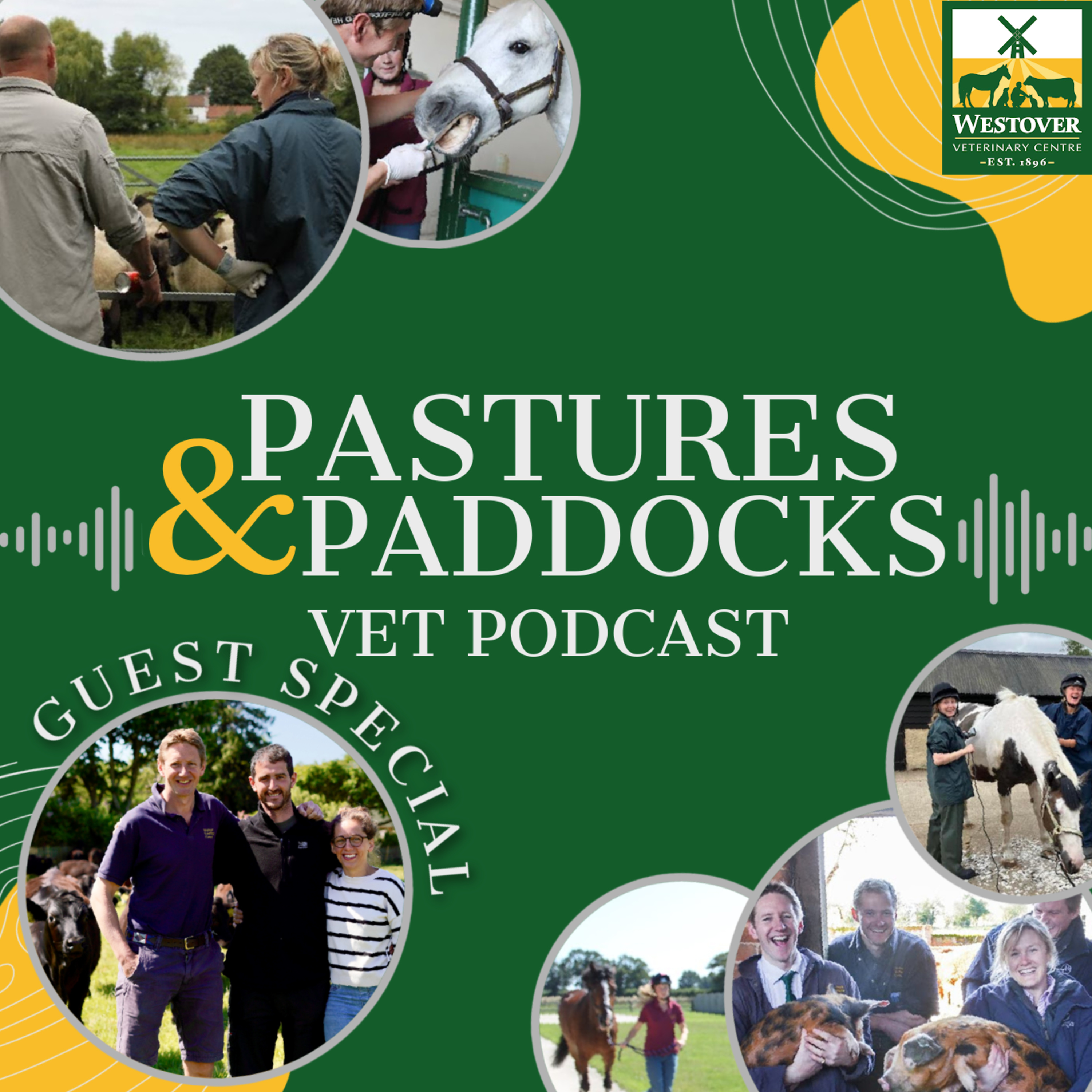 The Highs & Lows of Dairy Farming episode artwork