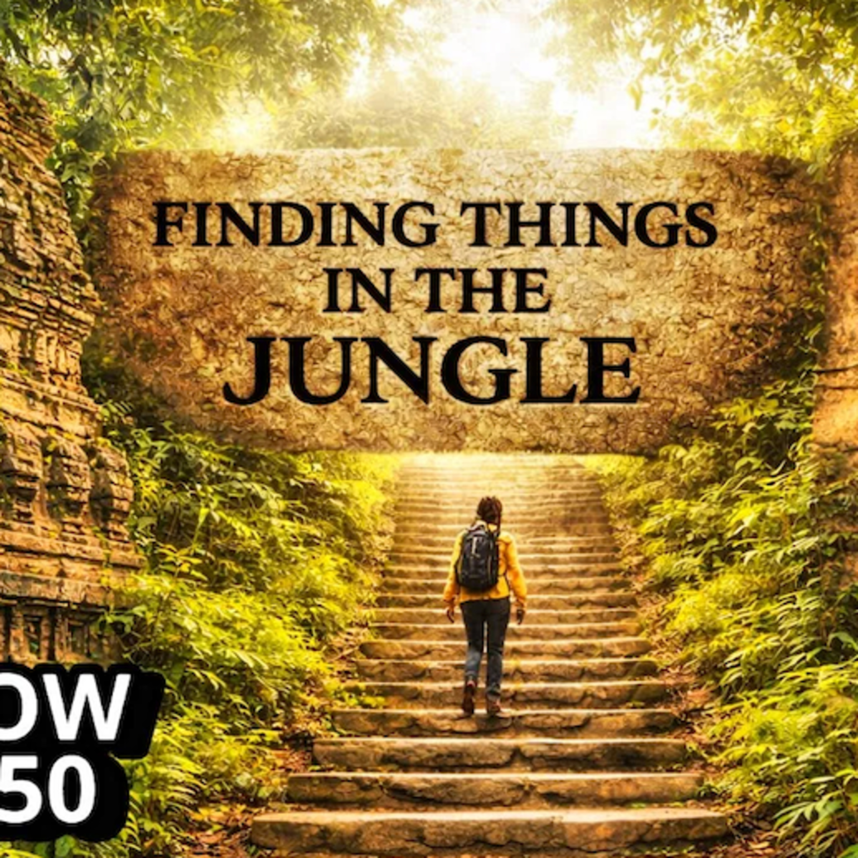 Finding Things in the Jungle