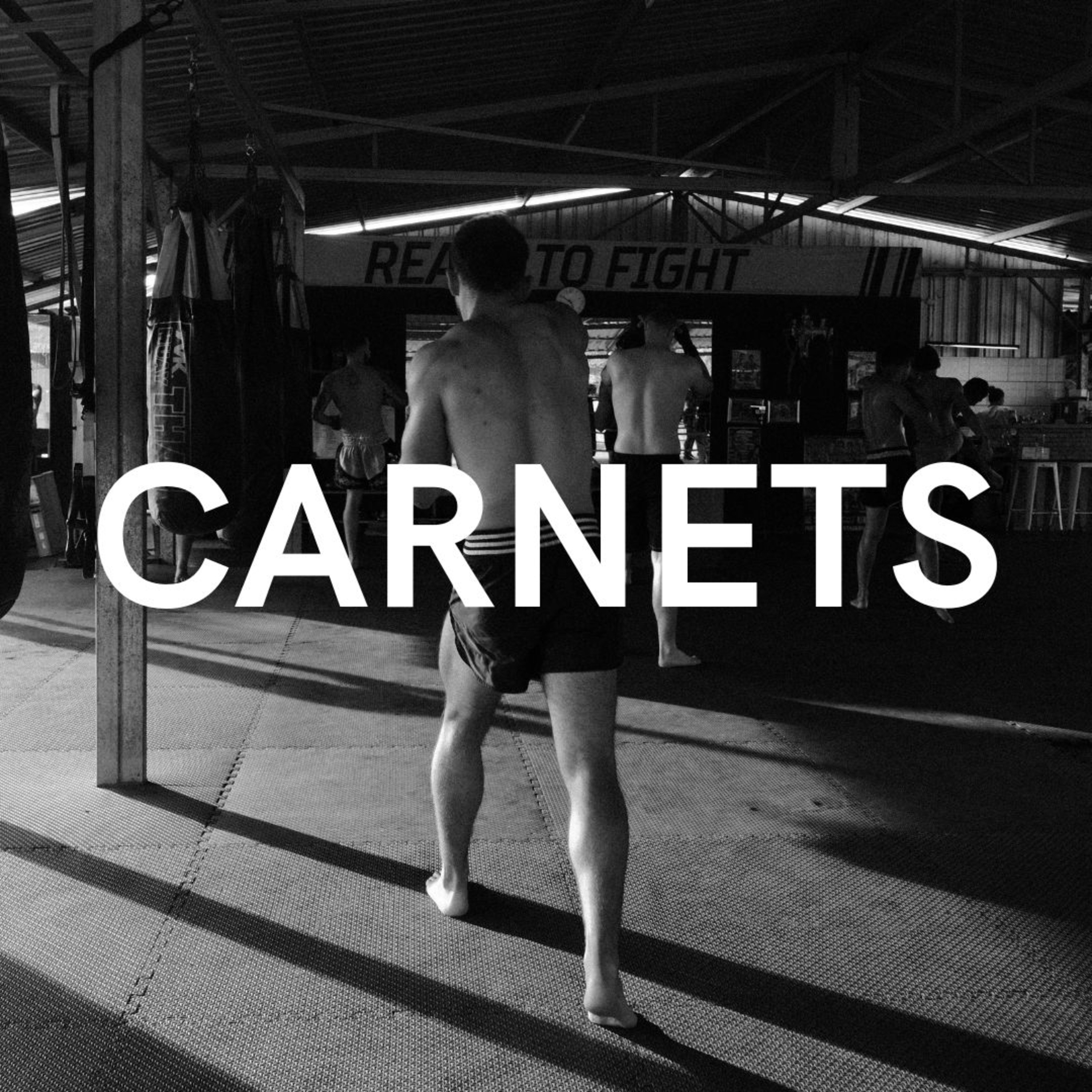 Vivre de sa curiosité, créations, muay-thai avec Paolo Z | Ep.2