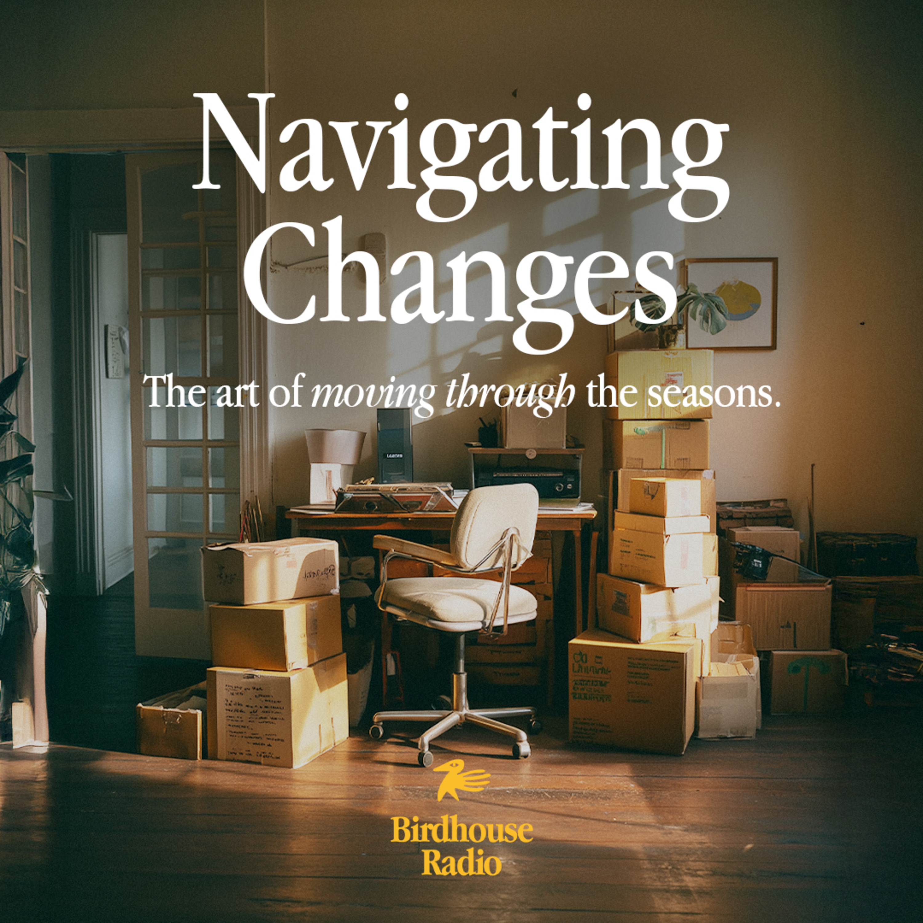navigating changes episode artwork
