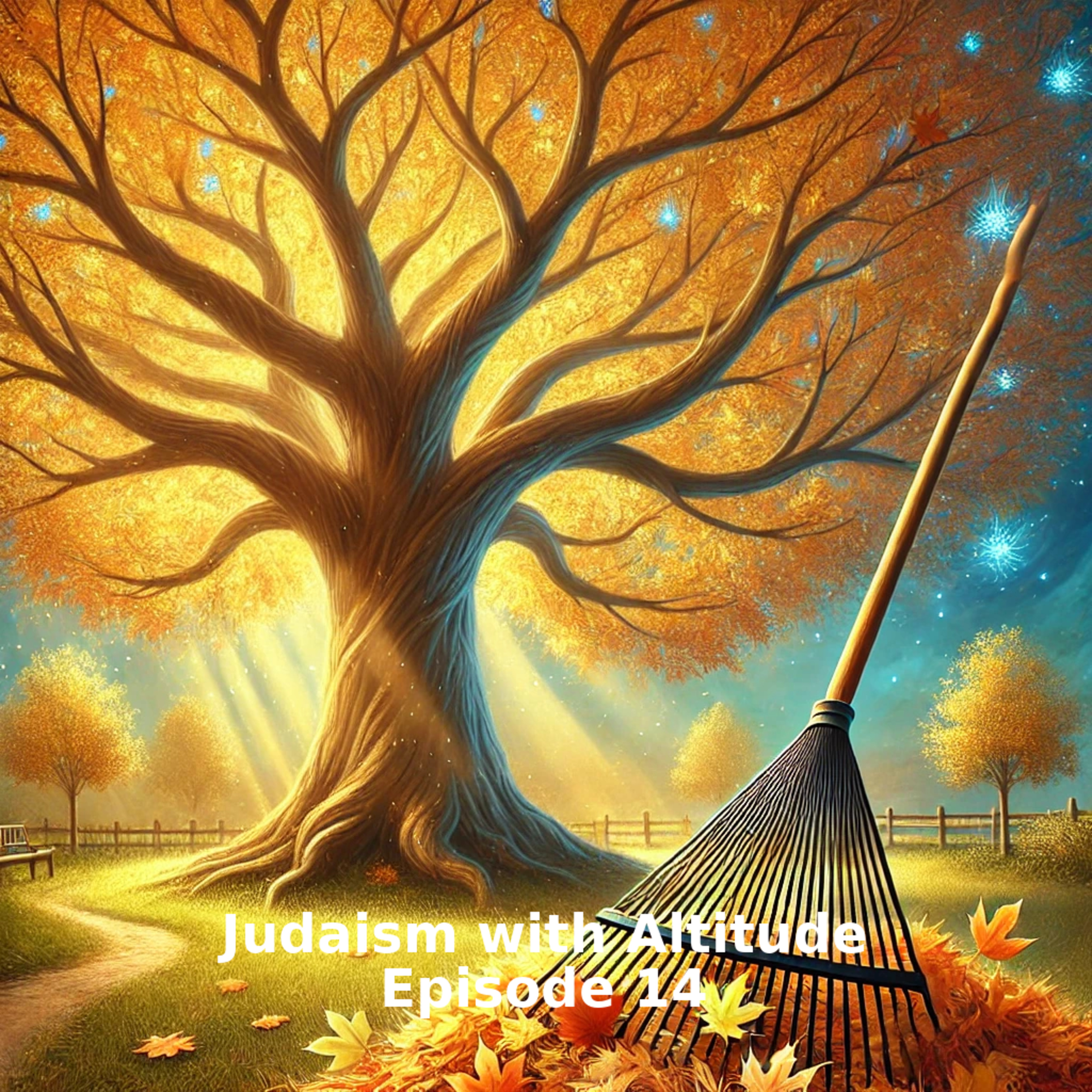 Judaism with Altitude