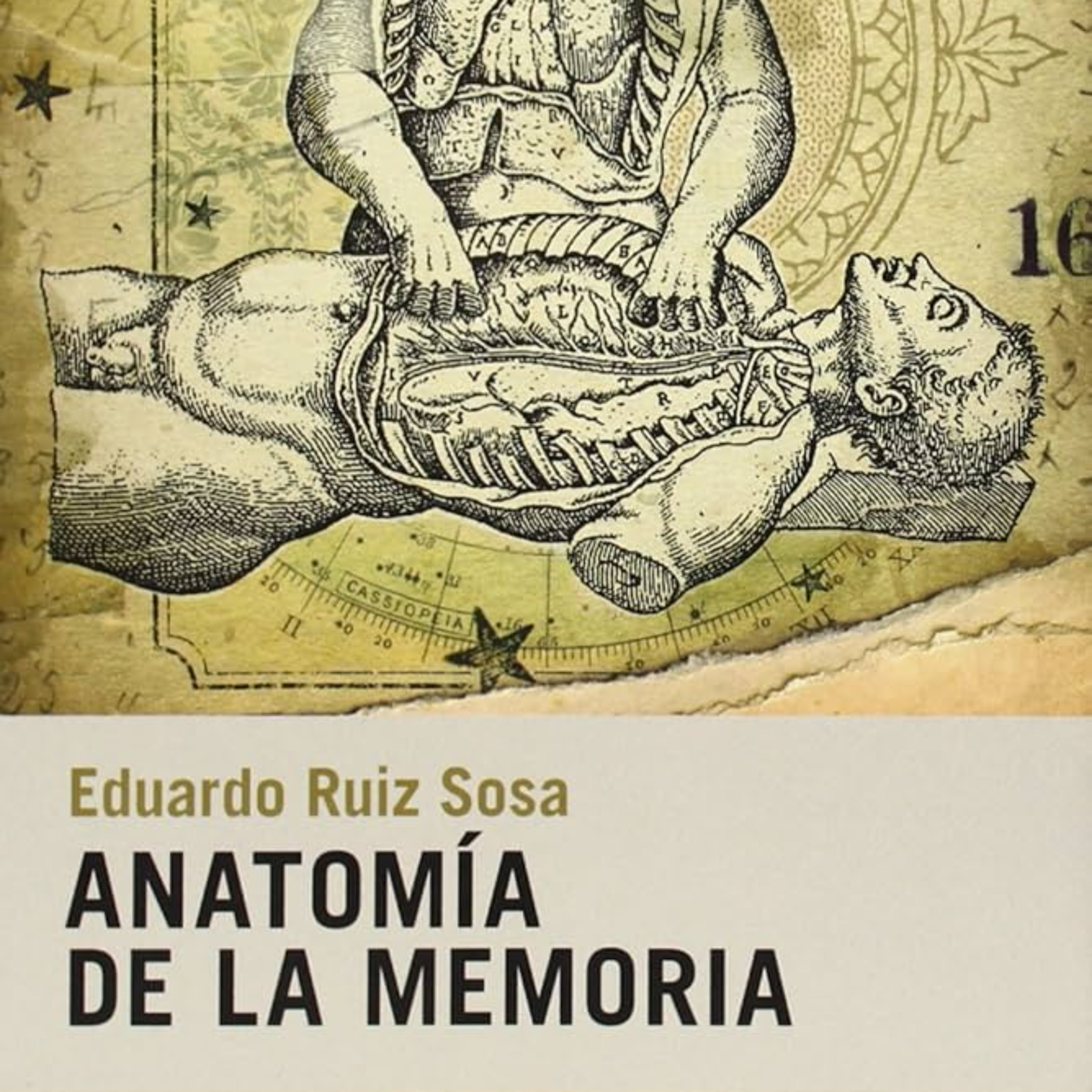 Portada de Andenes