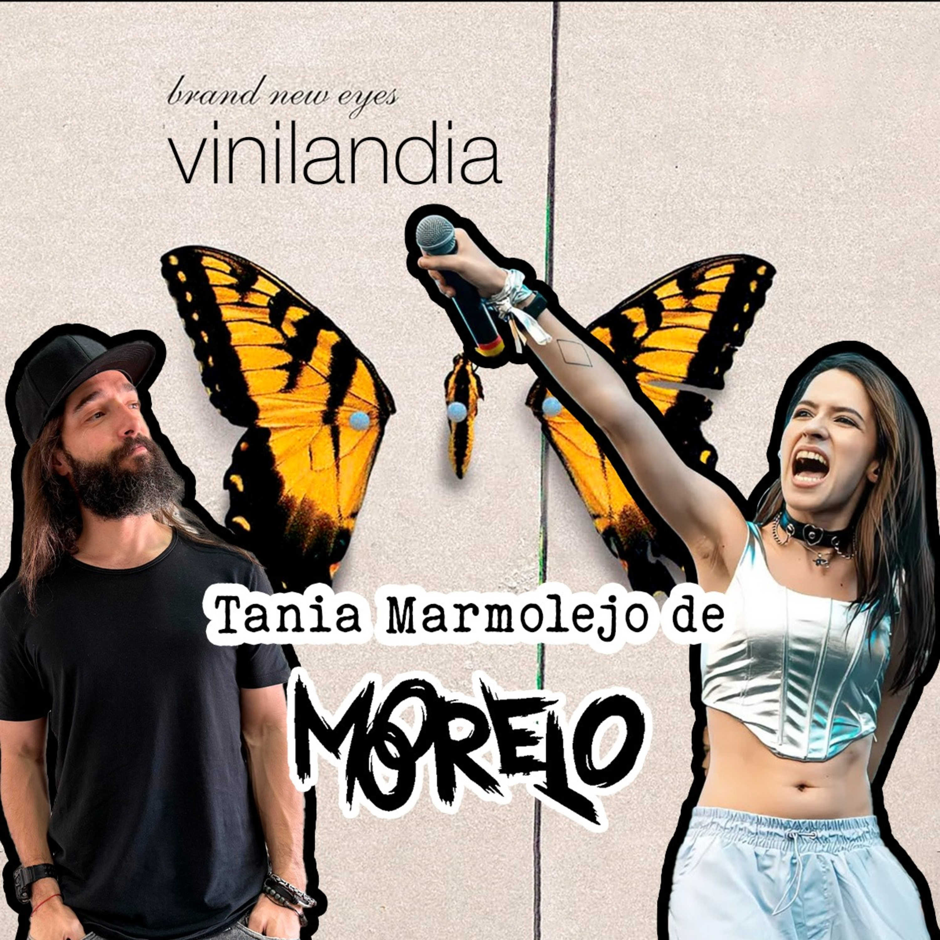 VINILANDIA
