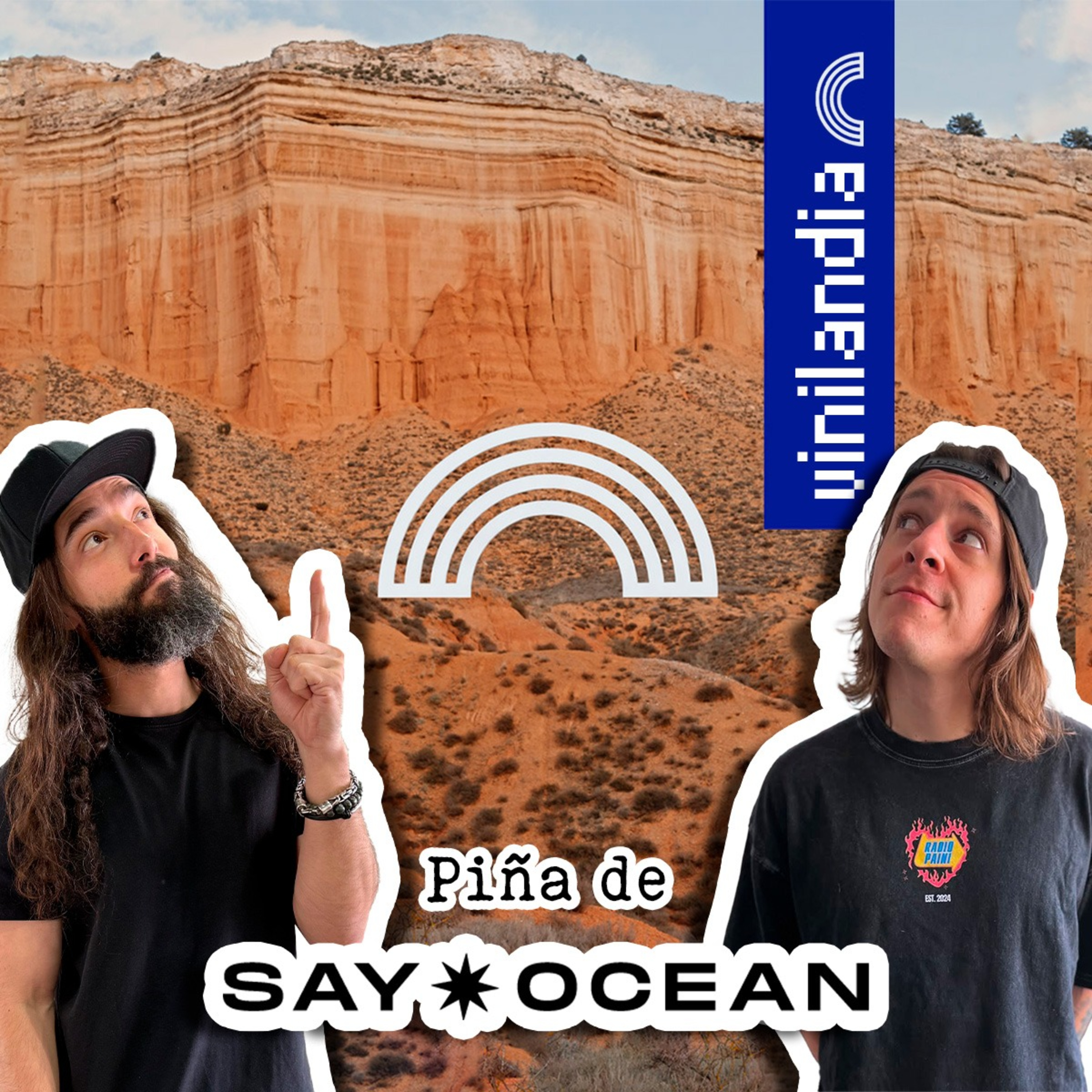 VINILANDIA