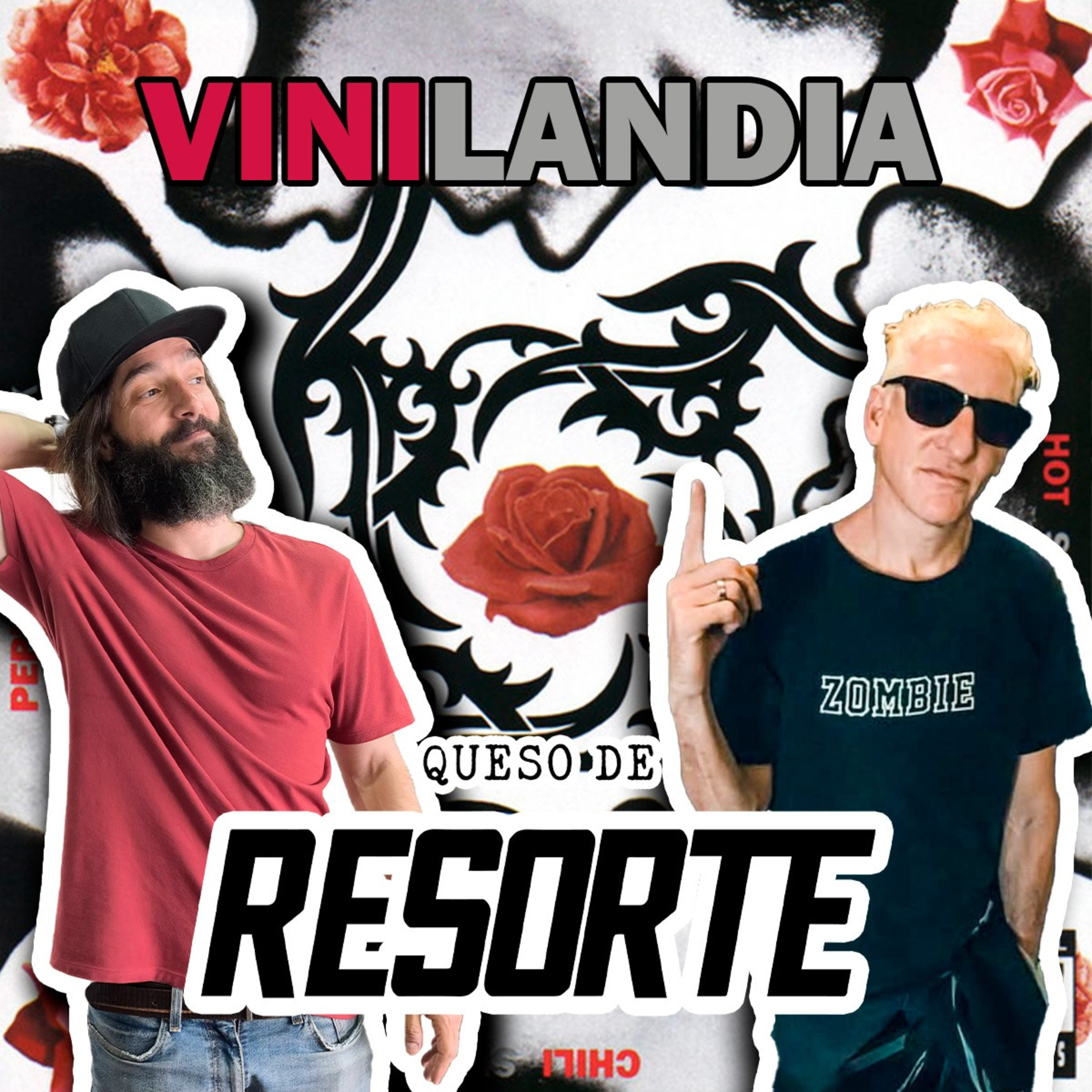 VINILANDIA
