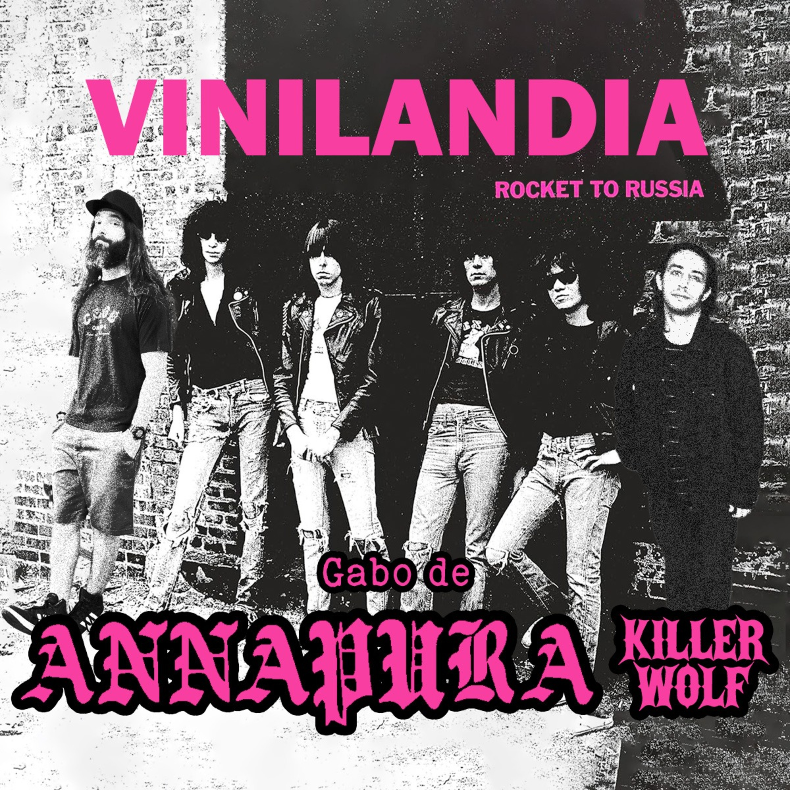 VINILANDIA
