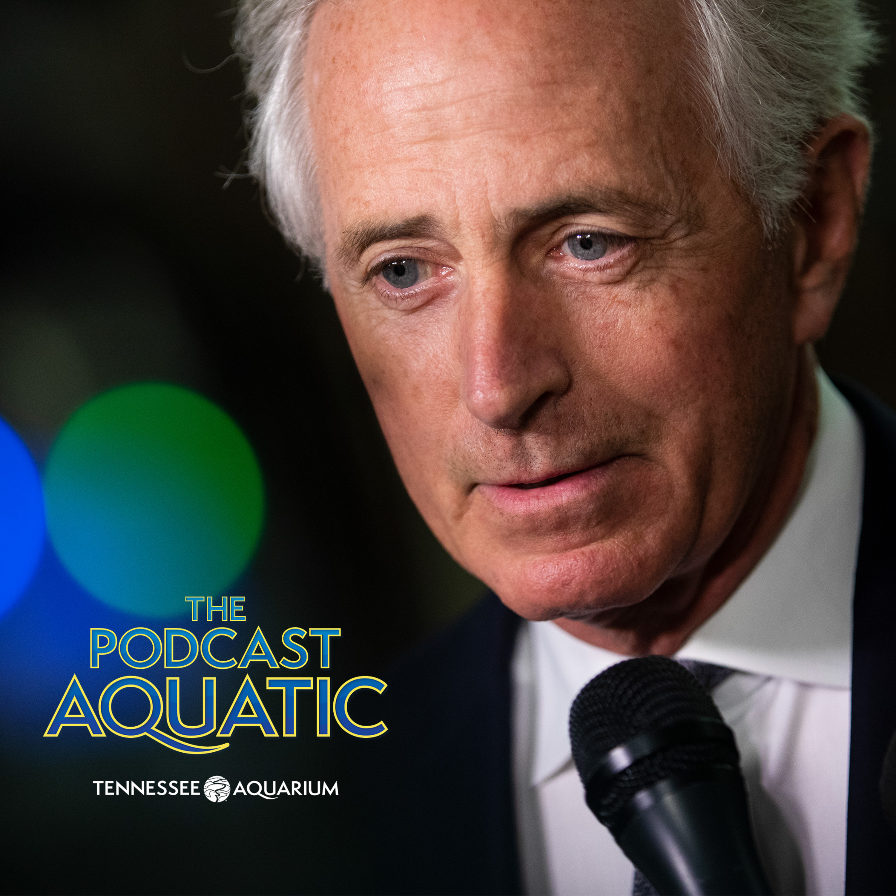 Legacy Of A Bold Vision (Feat. Senator Bob Corker) episode artwork