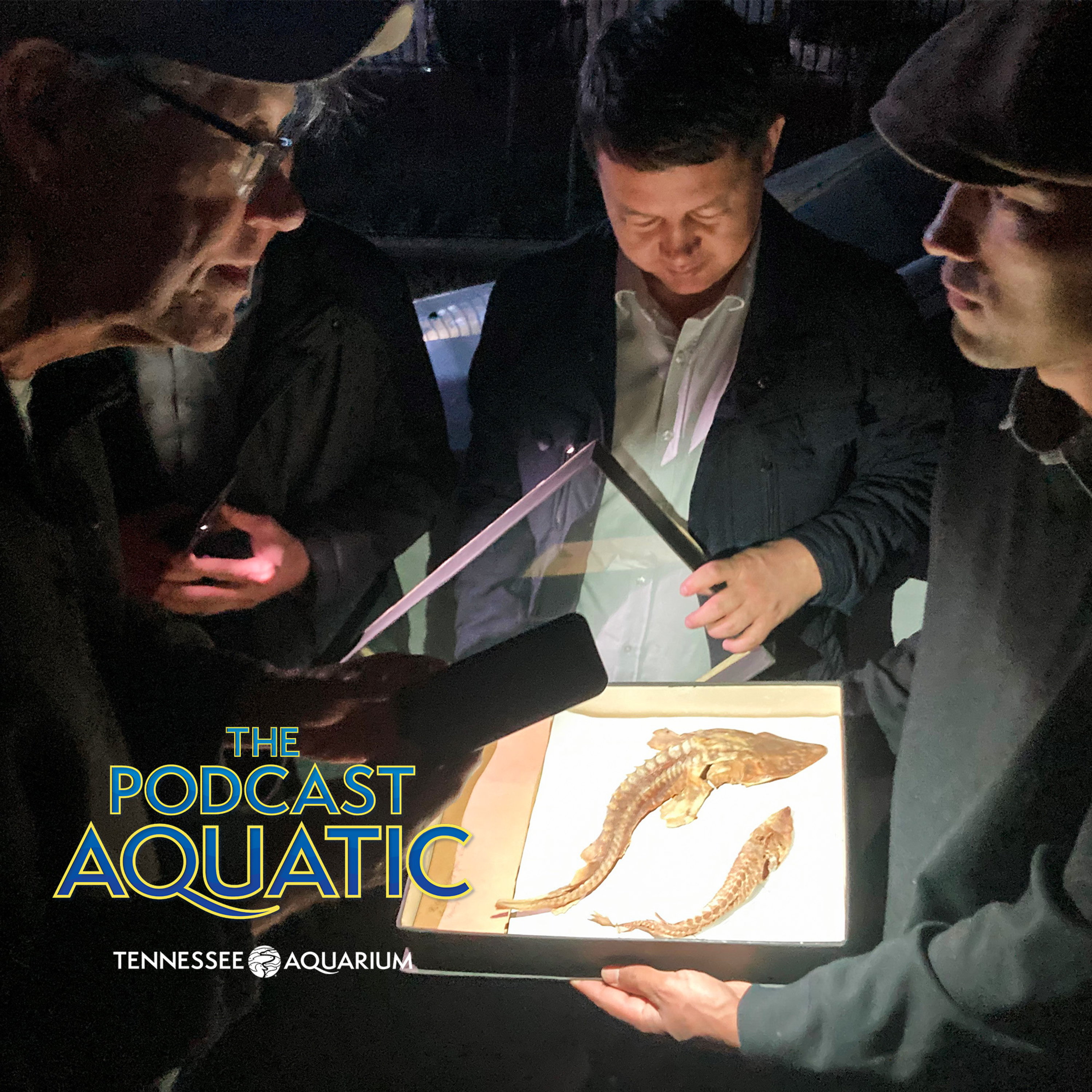 The Podcast Aquatic