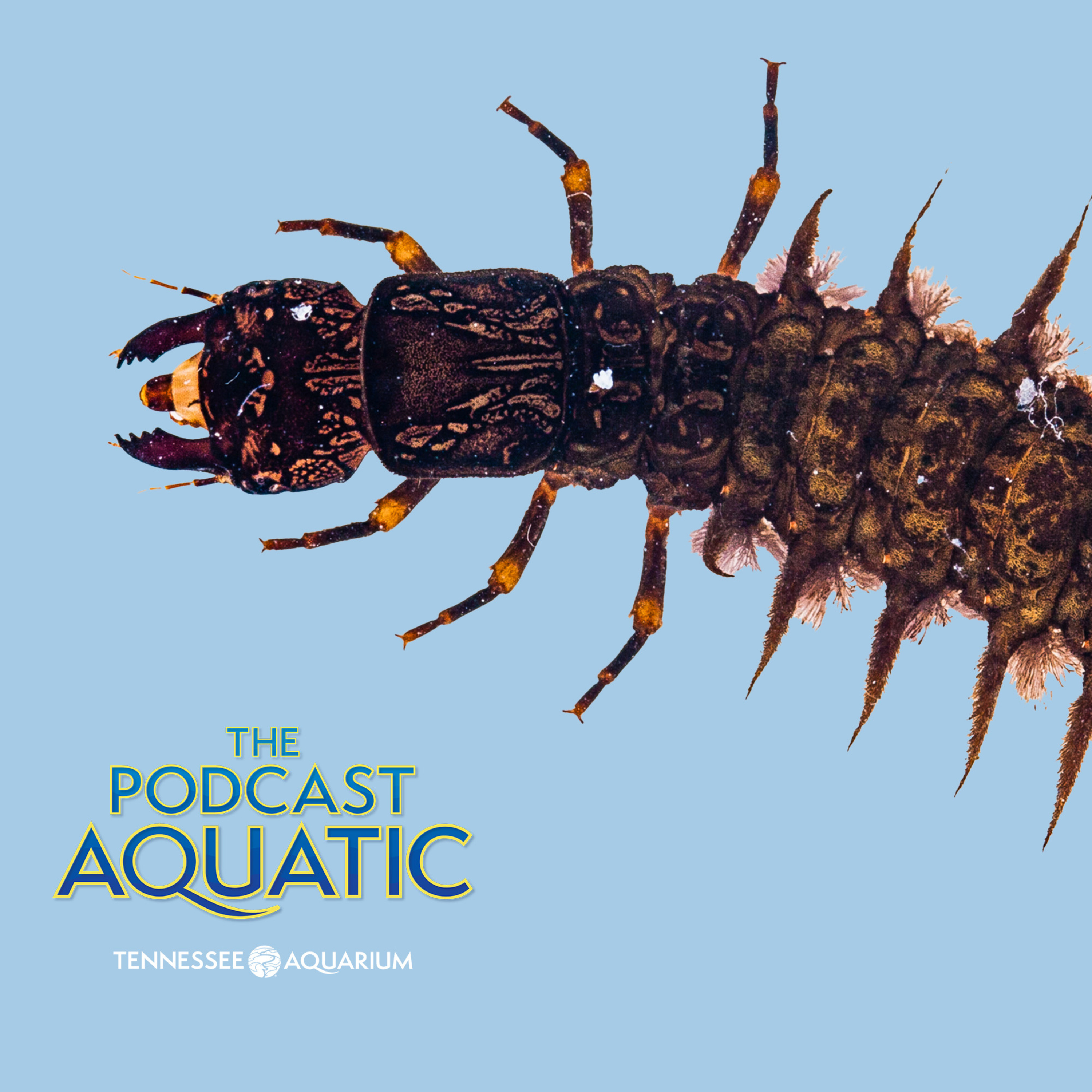 Leopards Of The River And Other "Water Bugs" episode artwork