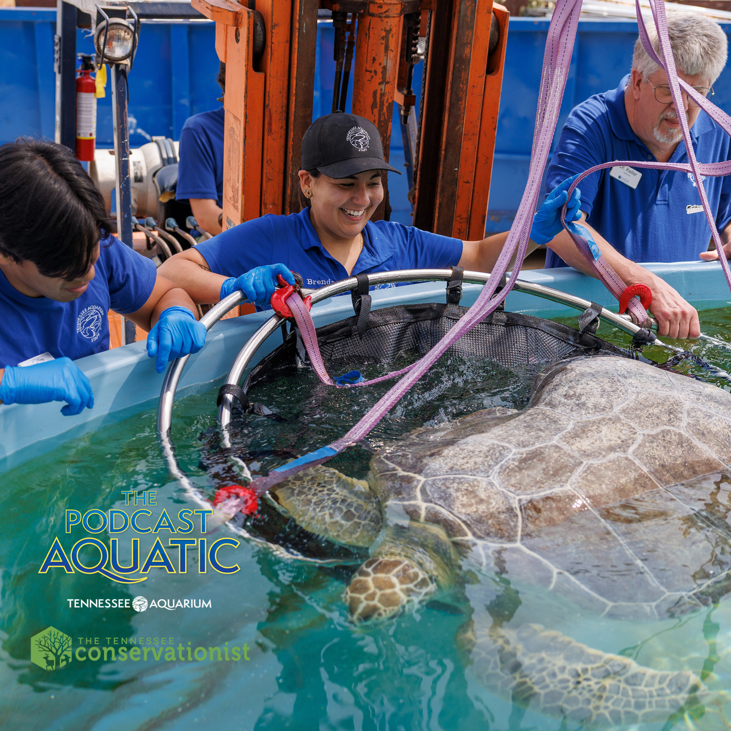 Kelp Wanted: Working at an Aquarium/Zoo episode artwork