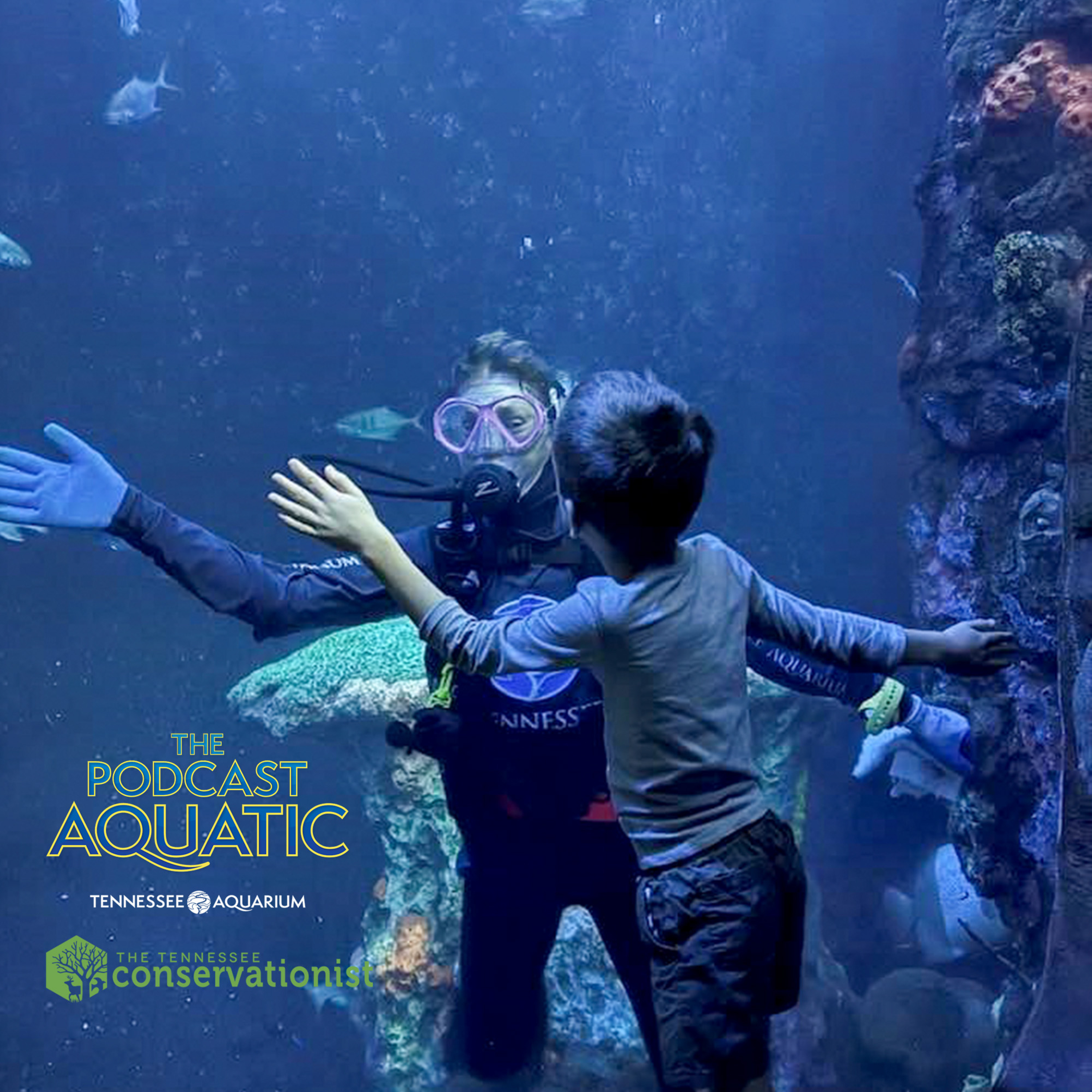 Building An Aquarium For Everyone episode artwork