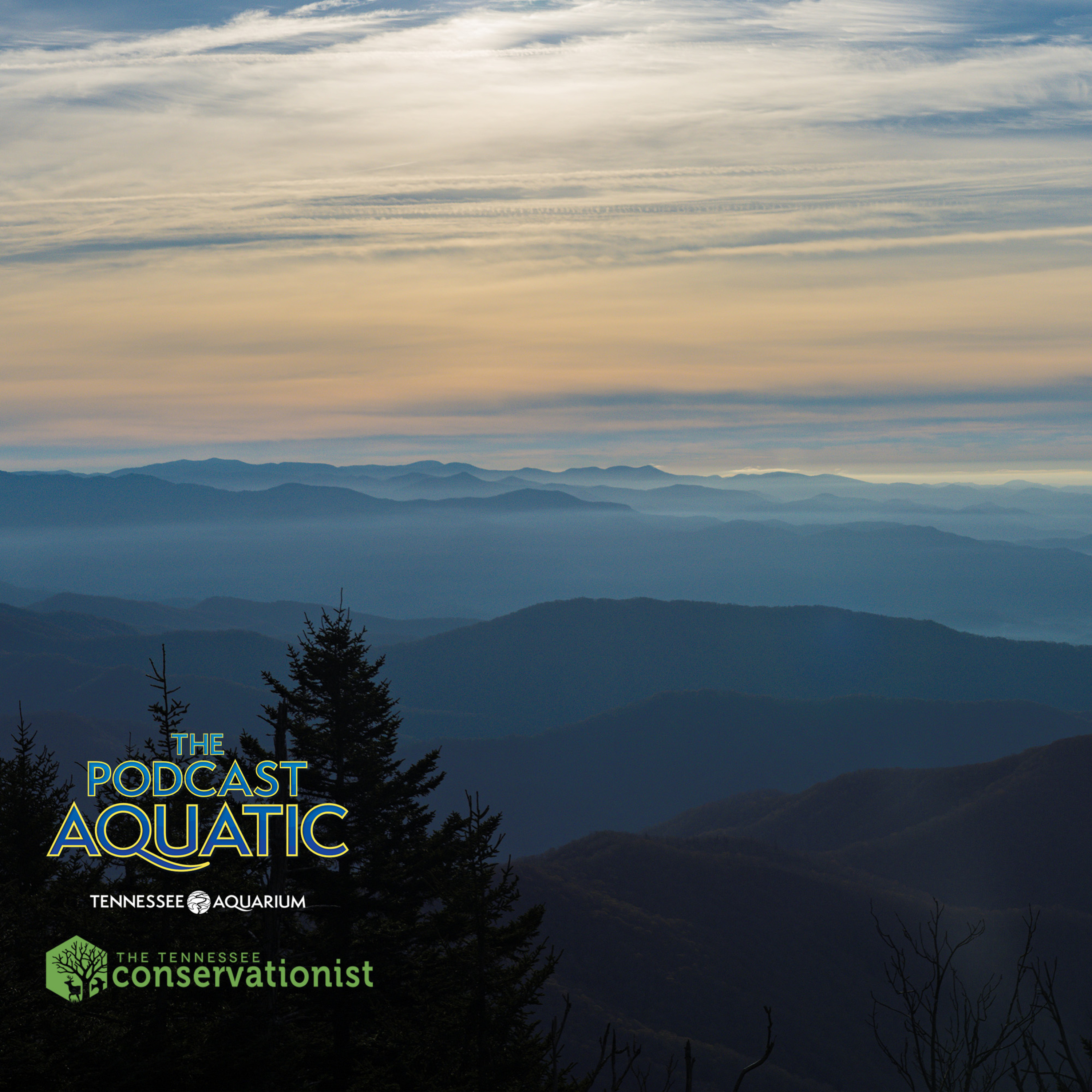 Spooky Season Special: Appalachian Animal Mythbusters episode artwork