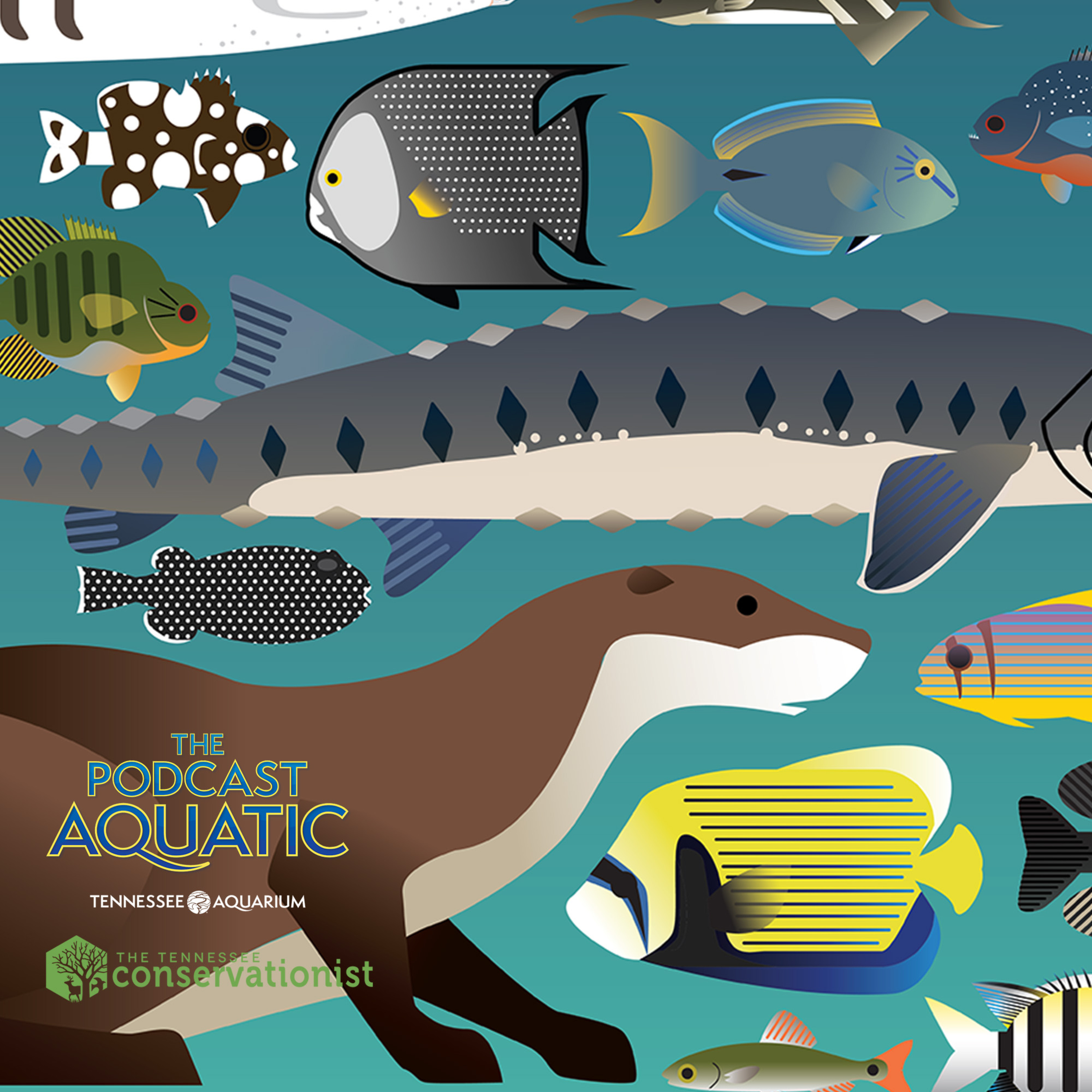 Art+Science Part 1: Pencil Urchins and Brush Coral episode artwork