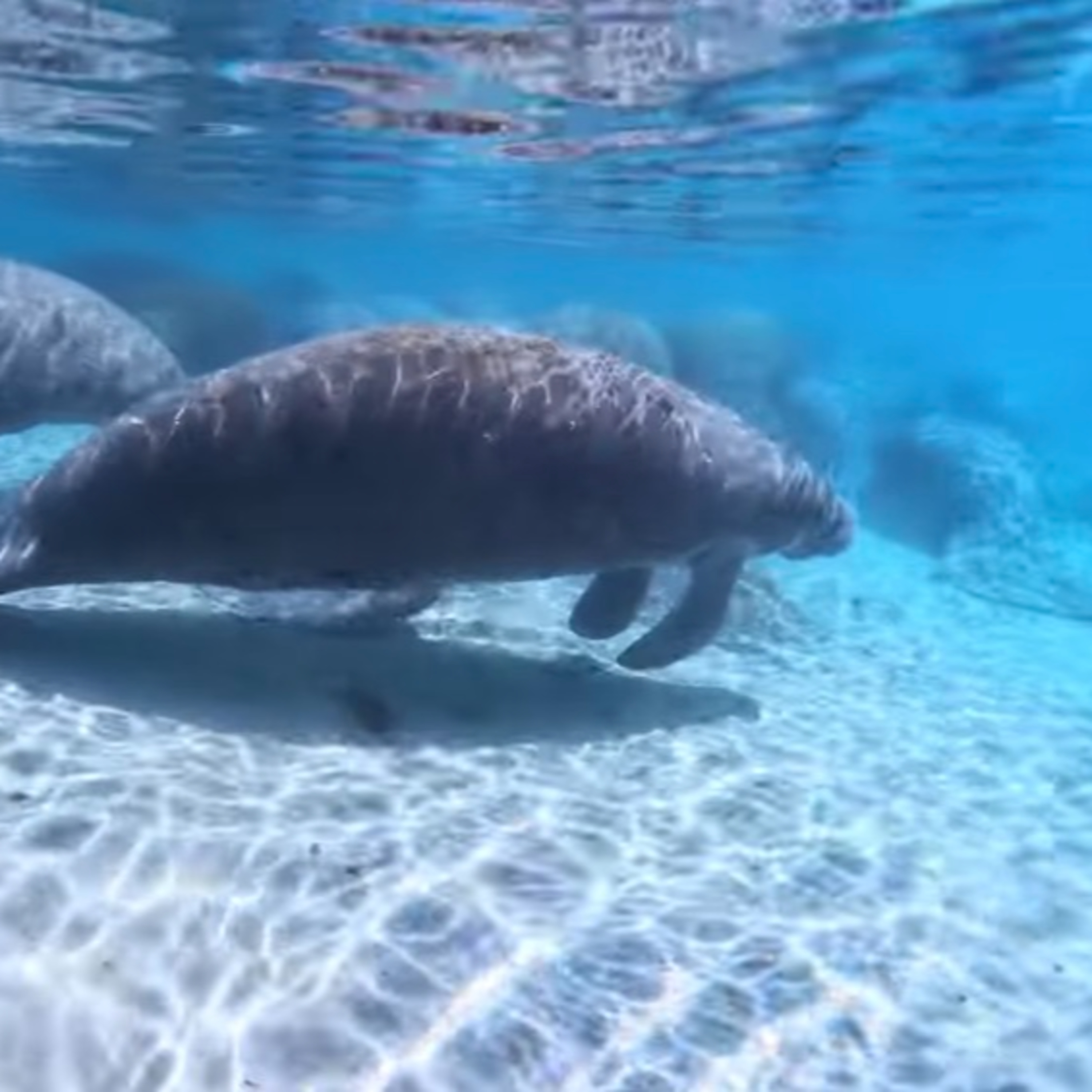 Wheels and Warbles: RV Life with a Texan Songbird and a Cockney