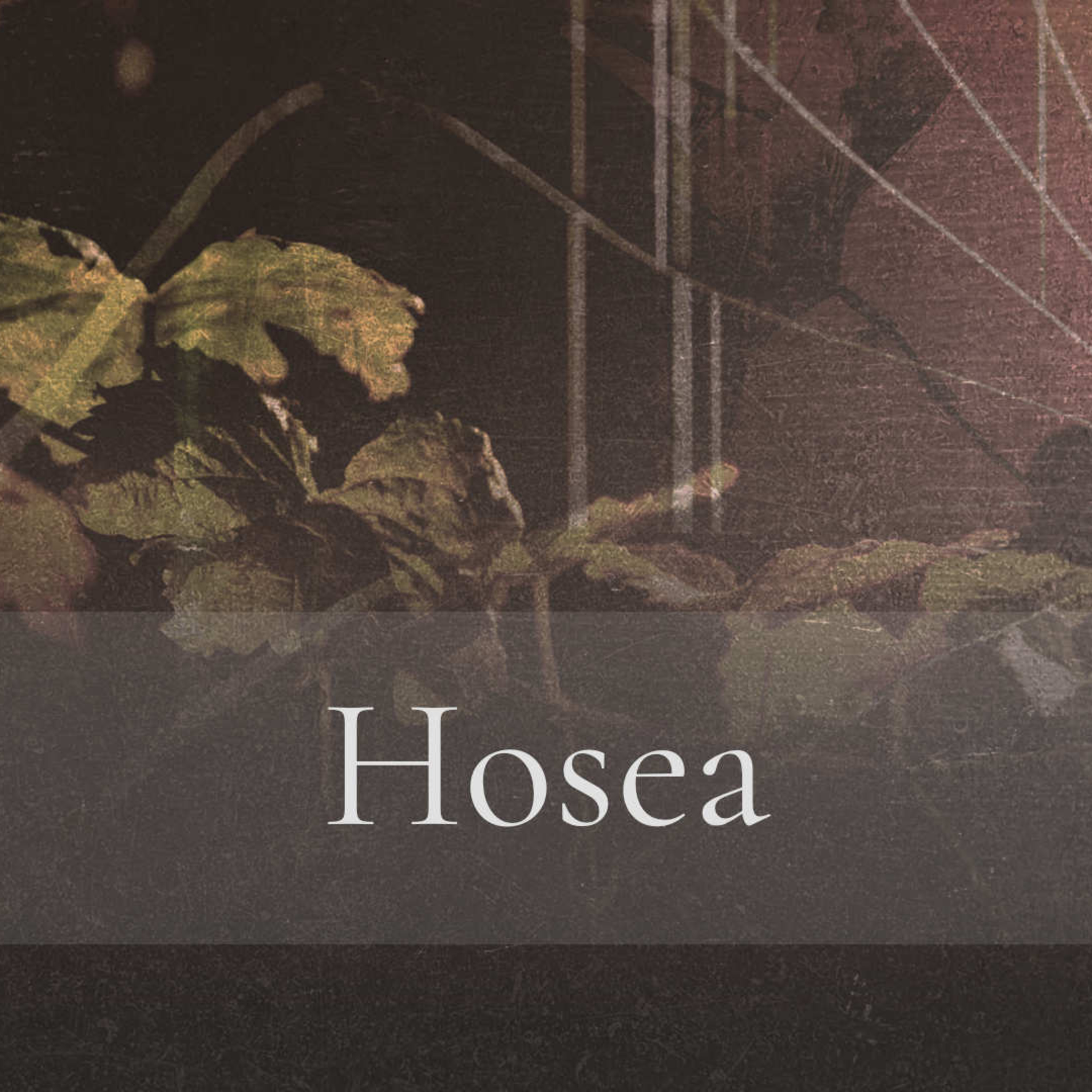 Hosea 7-8 - The Righteous Cry Out and the Lord Hears - Jason Arsenault episode artwork