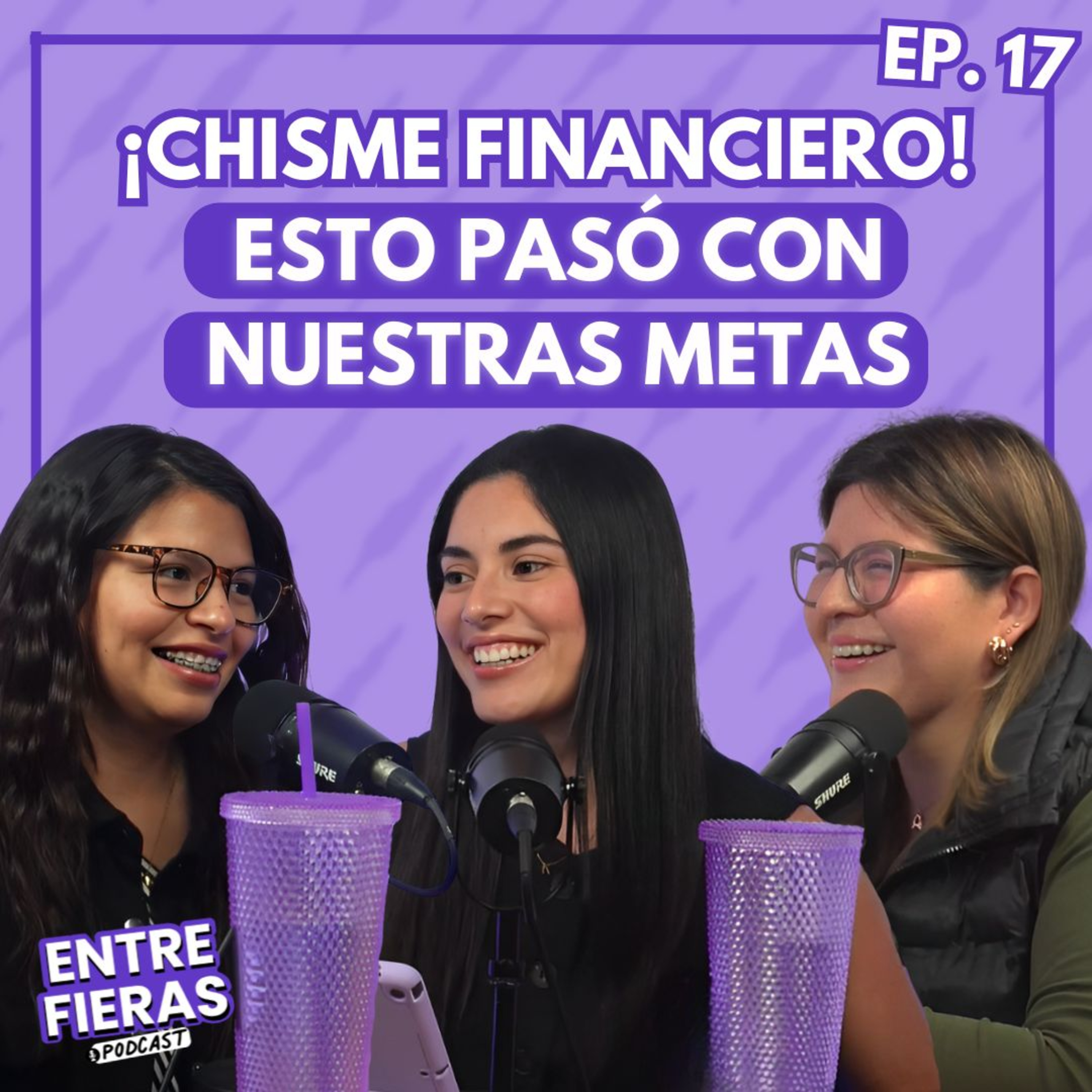 17. Todo lo que hicimos (y gastamos) en estos 5 meses episode artwork