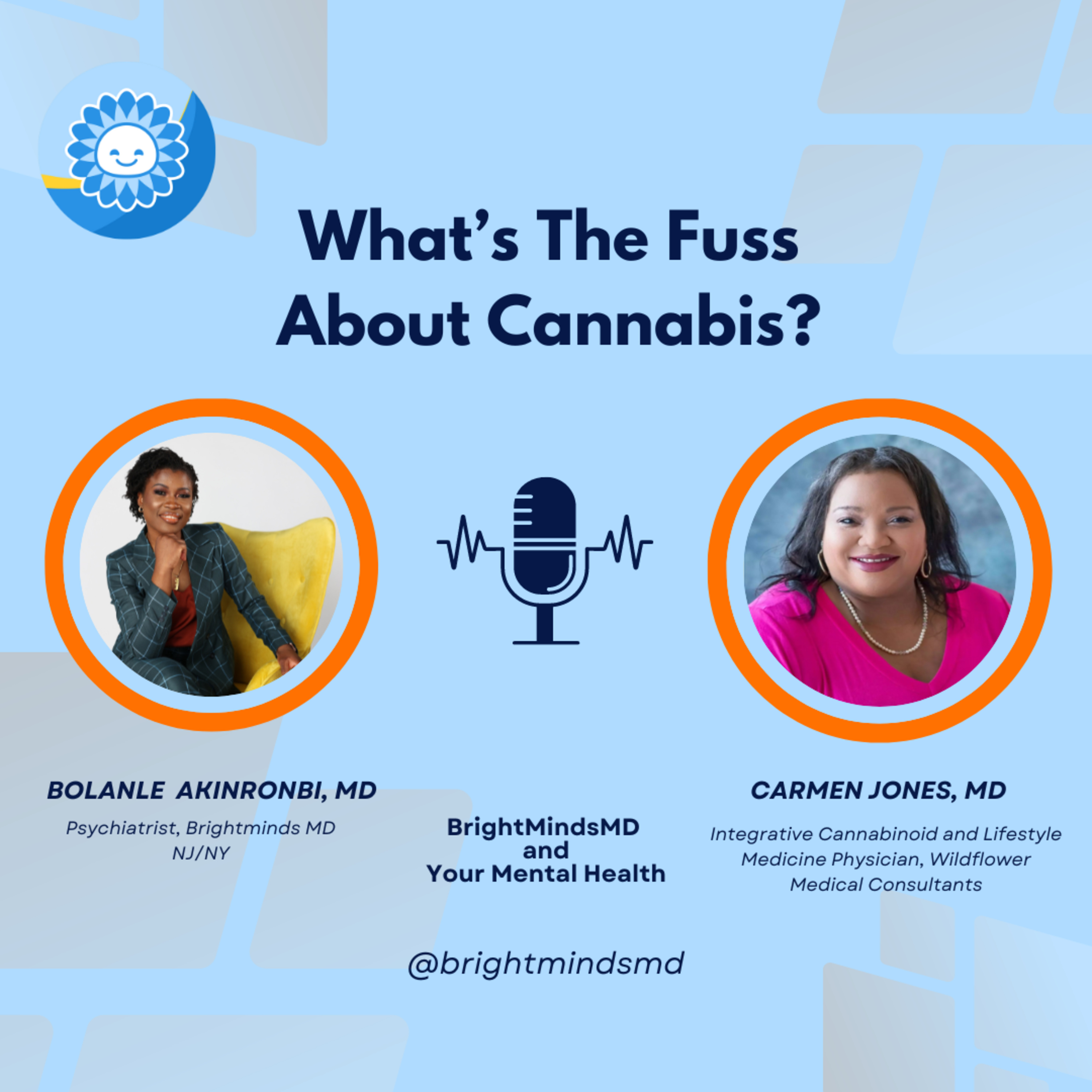 What's The Fuss About Cannabis? episode artwork