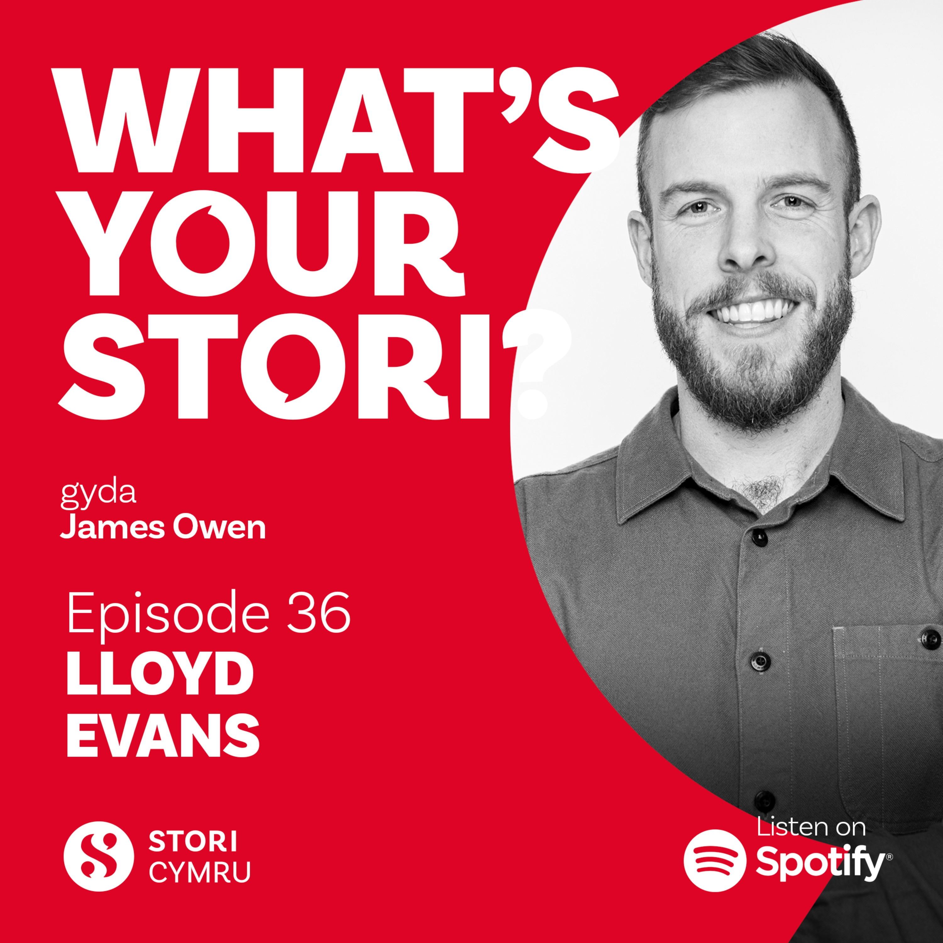 What\'s Your Stori?